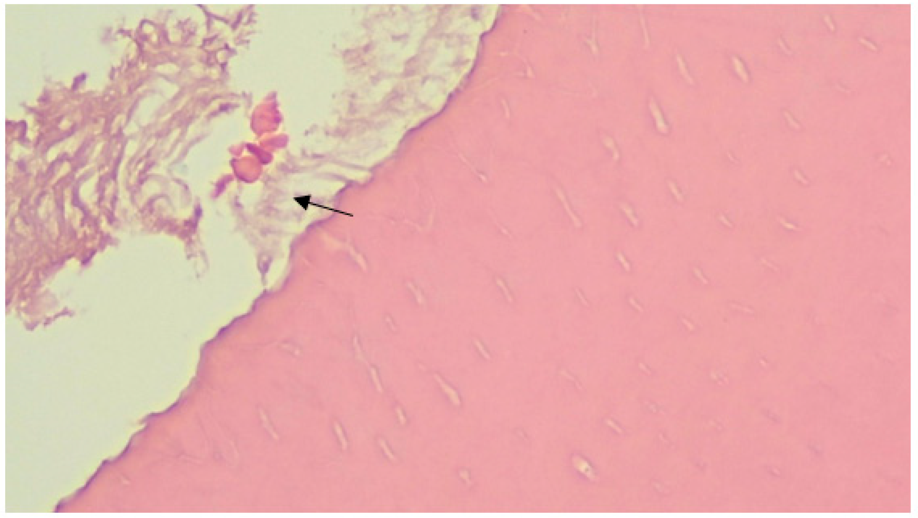 Ijerph 20 00540 g004 Ijerph 20 00540 g004