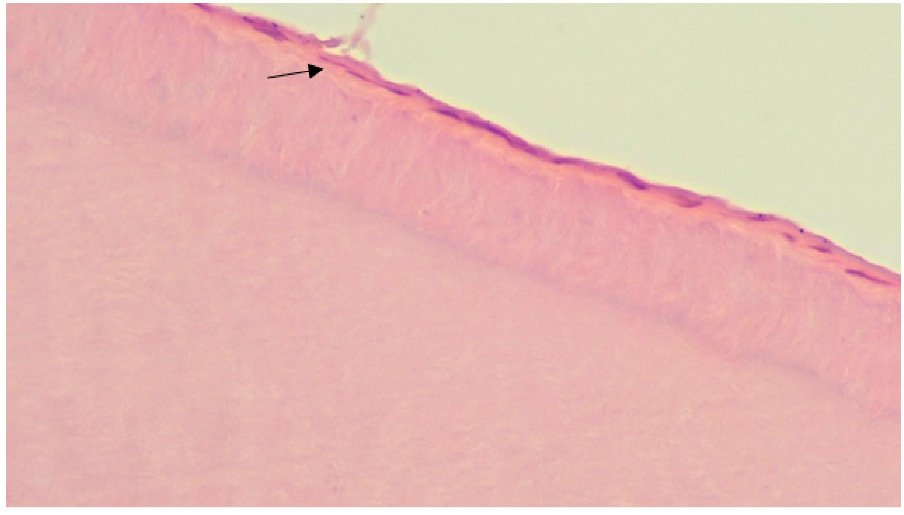 Ijerph 20 00540 g005 Ijerph 20 00540 g005