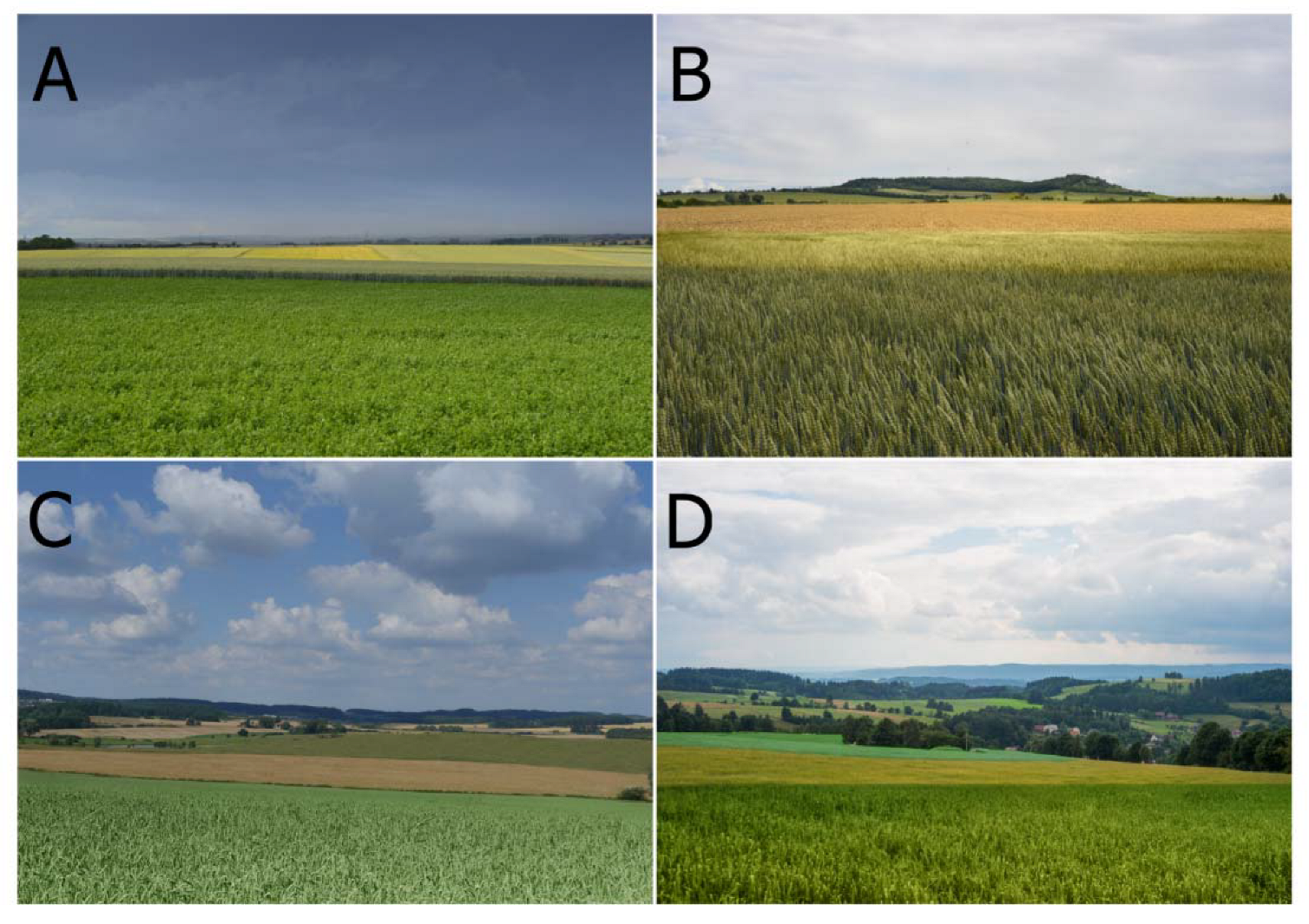 Ijerph 20 00687 g001