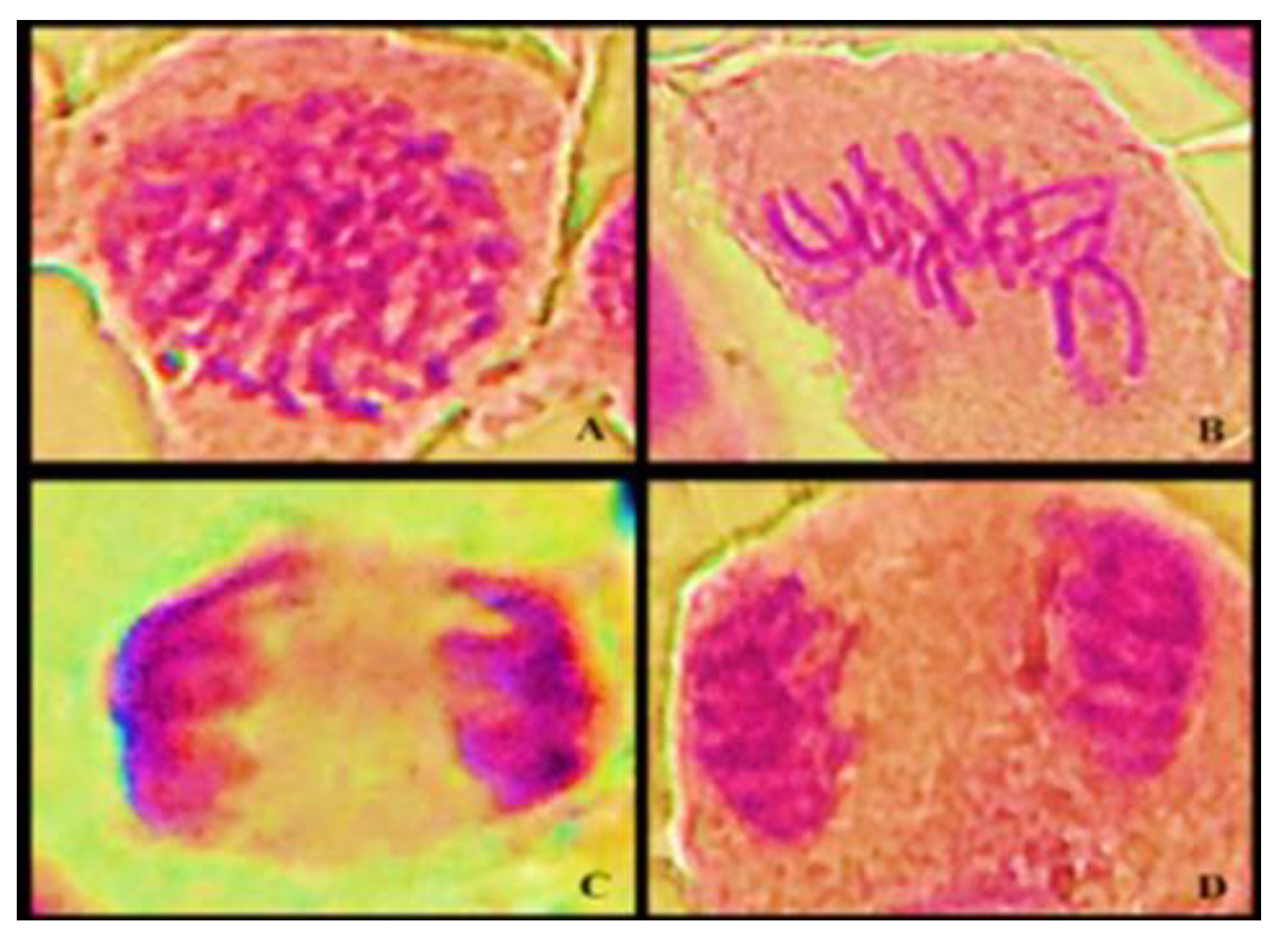 Ijerph 20 00786 g003