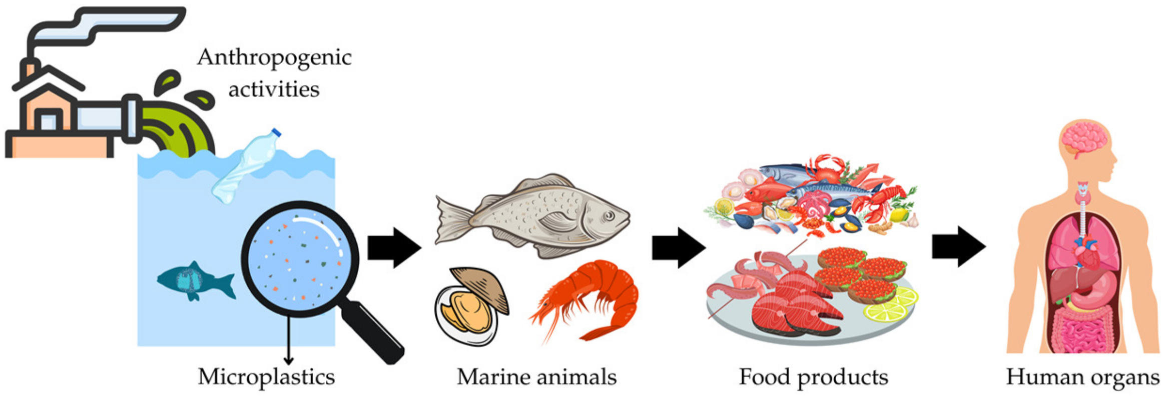 Ijerph 20 00789 g001 Ijerph 20 00789 g001