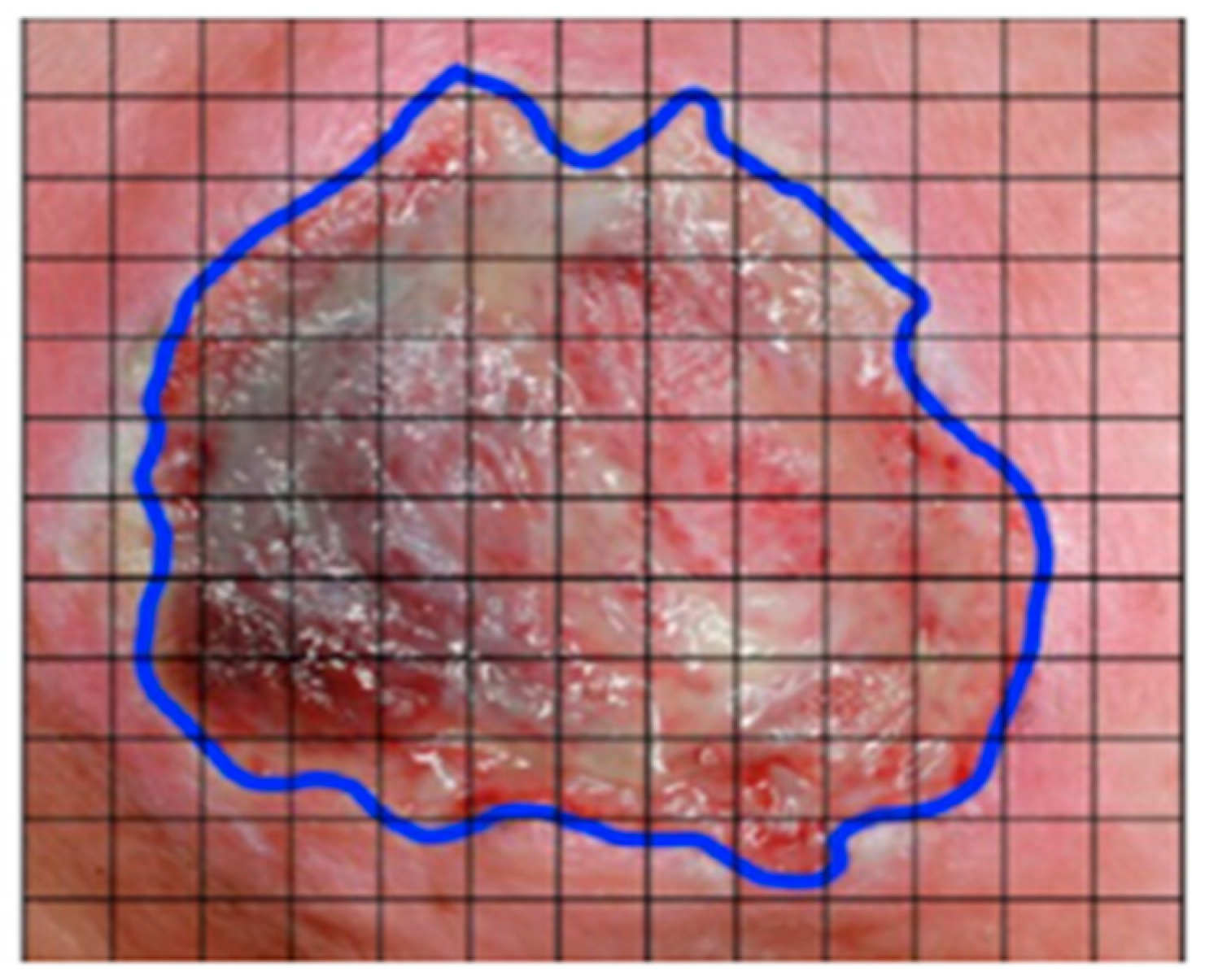 Ijerph 20 00796 g012 Ijerph 20 00796 g012