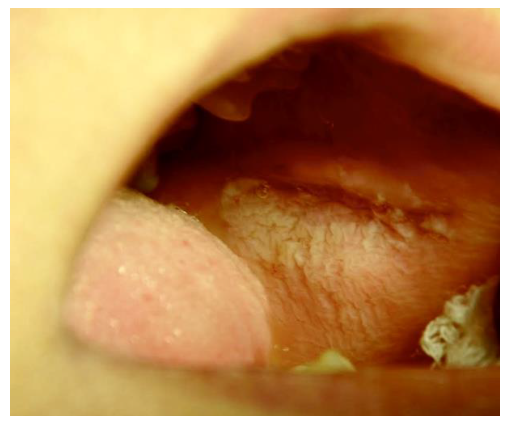 Ijerph 20 00835 g006