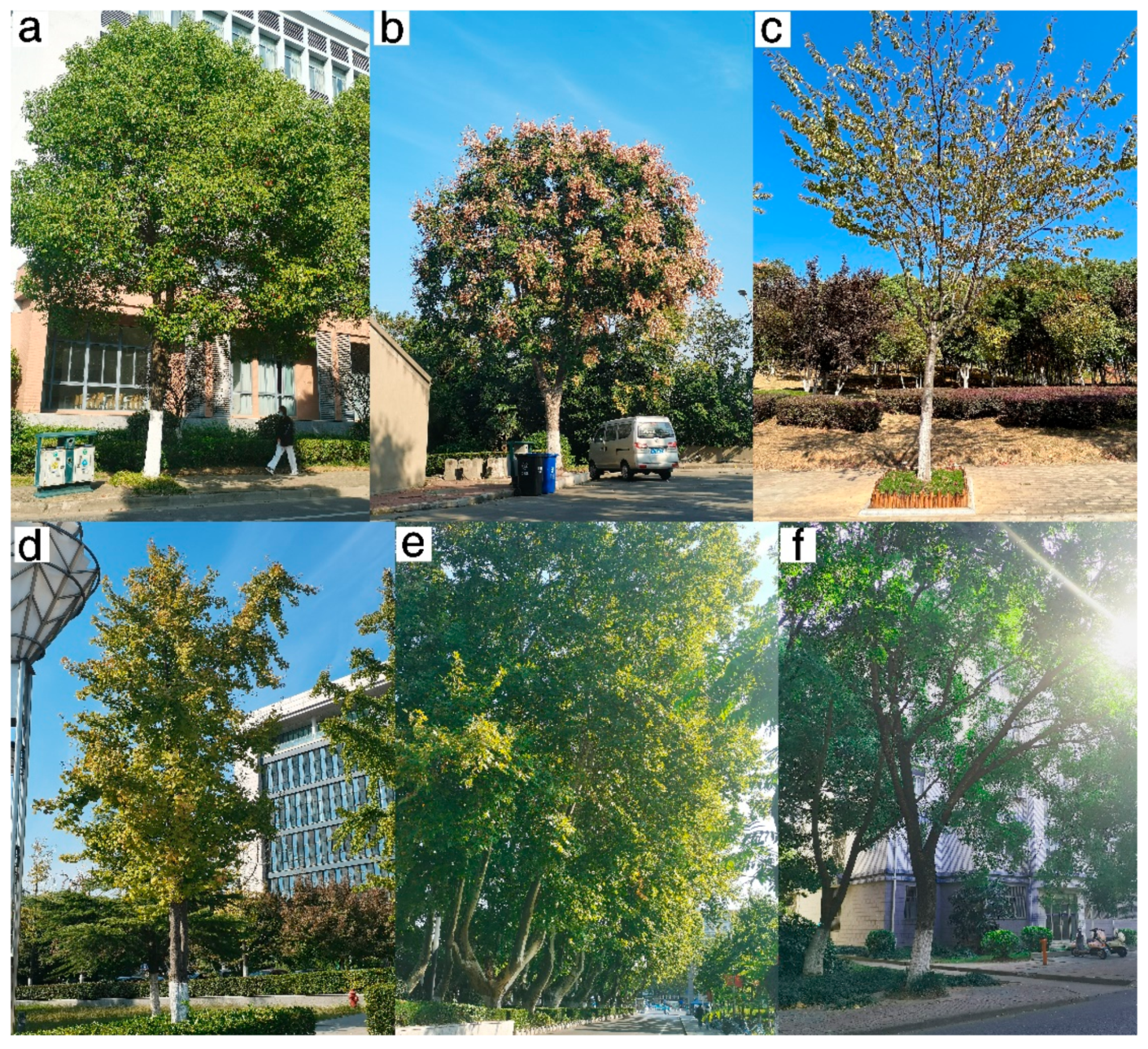 Ijerph 20 00880 g002