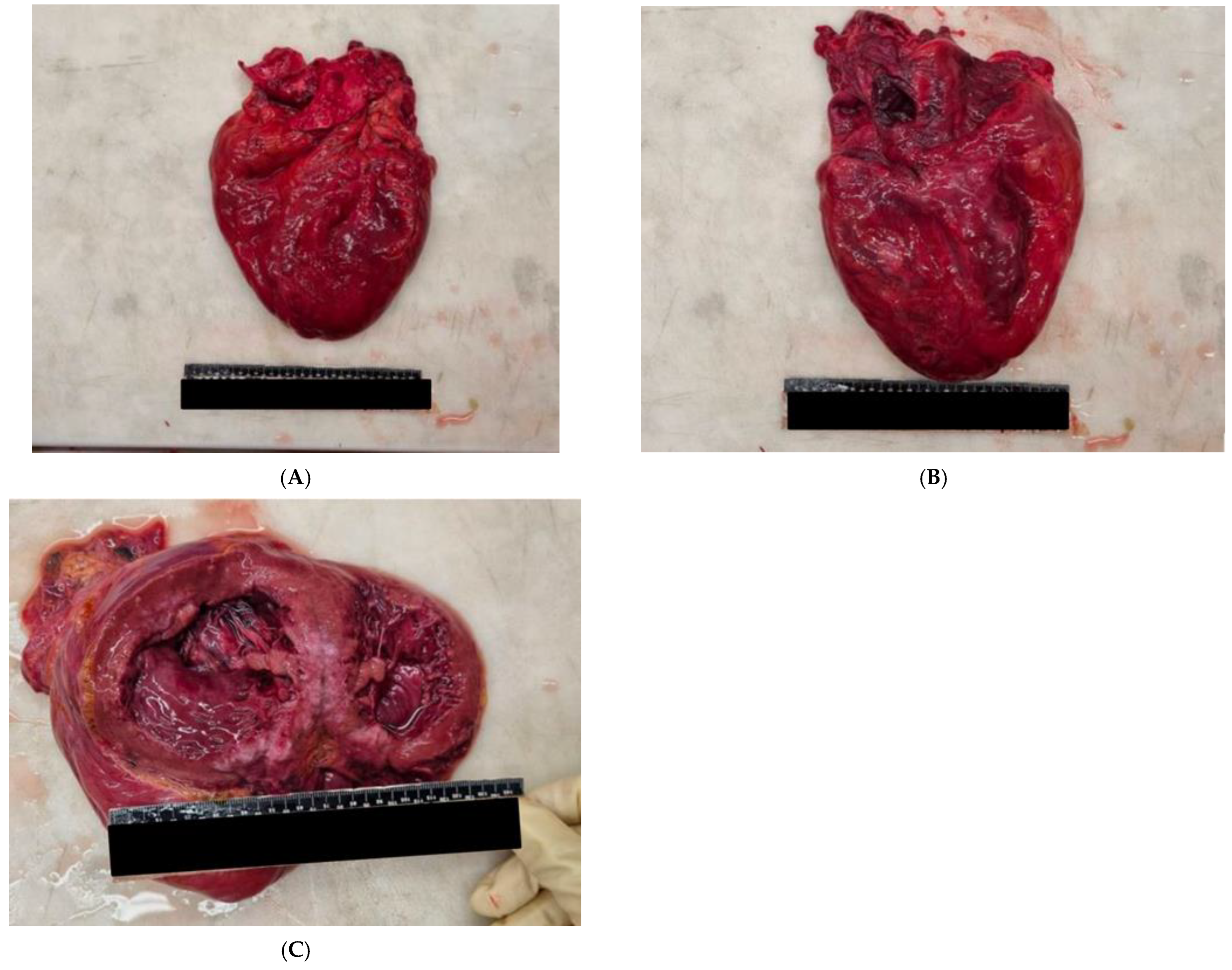 Ijerph 20 00884 g005 Ijerph 20 00884 g005
