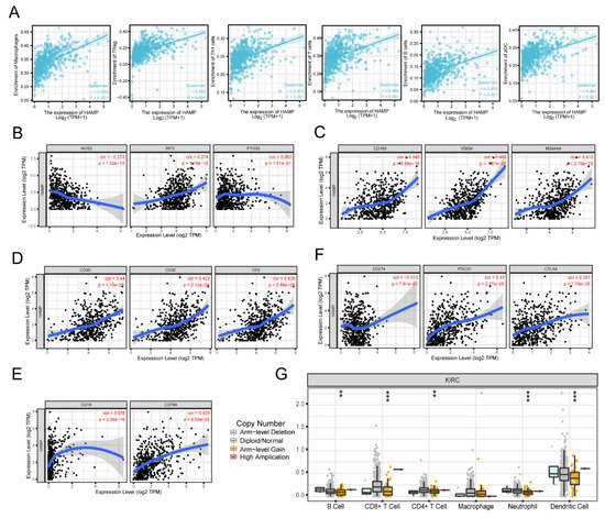 ピック Beautiful shot of SIC Kamen Rider ZX 📷 Weibo: @Zorowonder森