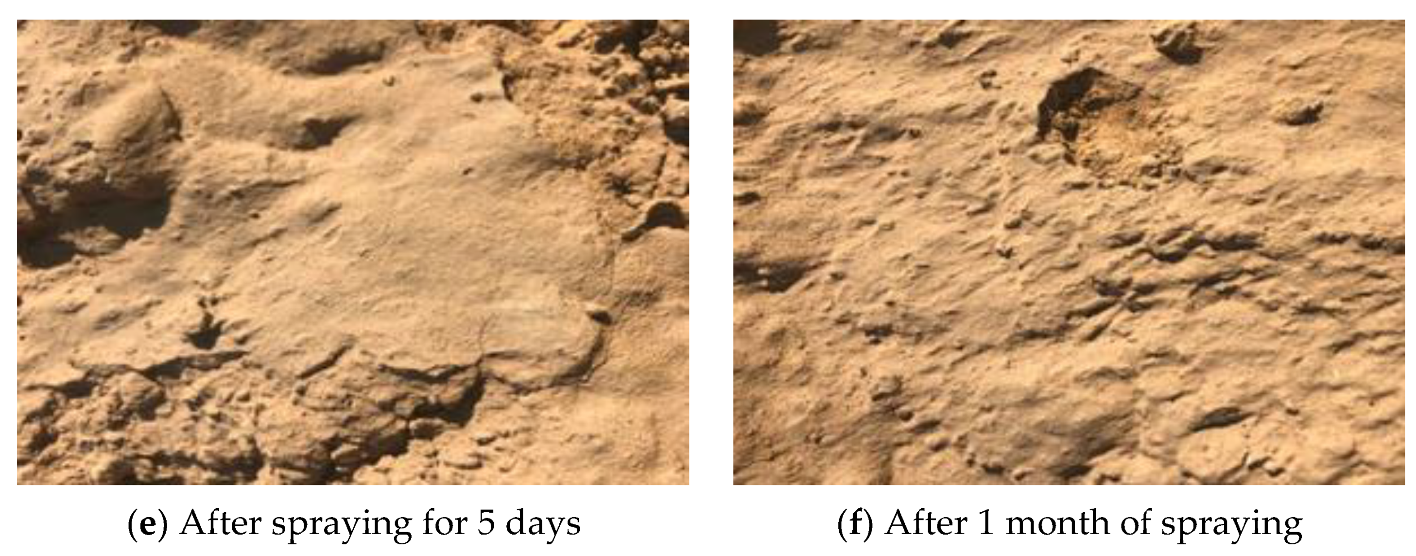 Ijerph 20 00934 g011b 550