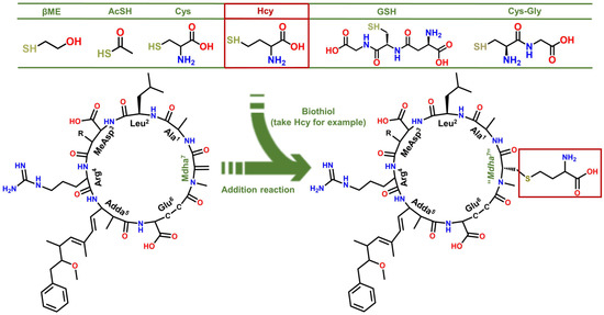 Regulation Effectiveness and Mechanism of Biotransformation Pathway on the Toxicity of Microcystin-LR Target to Protein Phosphatase 2A Regulation Effectiveness and Mechanism of Biotransformation Pathway on the Toxicity of Microcystin-LR Target to Protein Phosphatase 2A