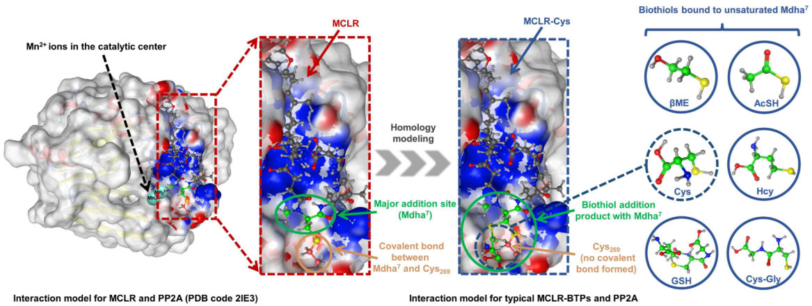Ijerph 20 00964 g004