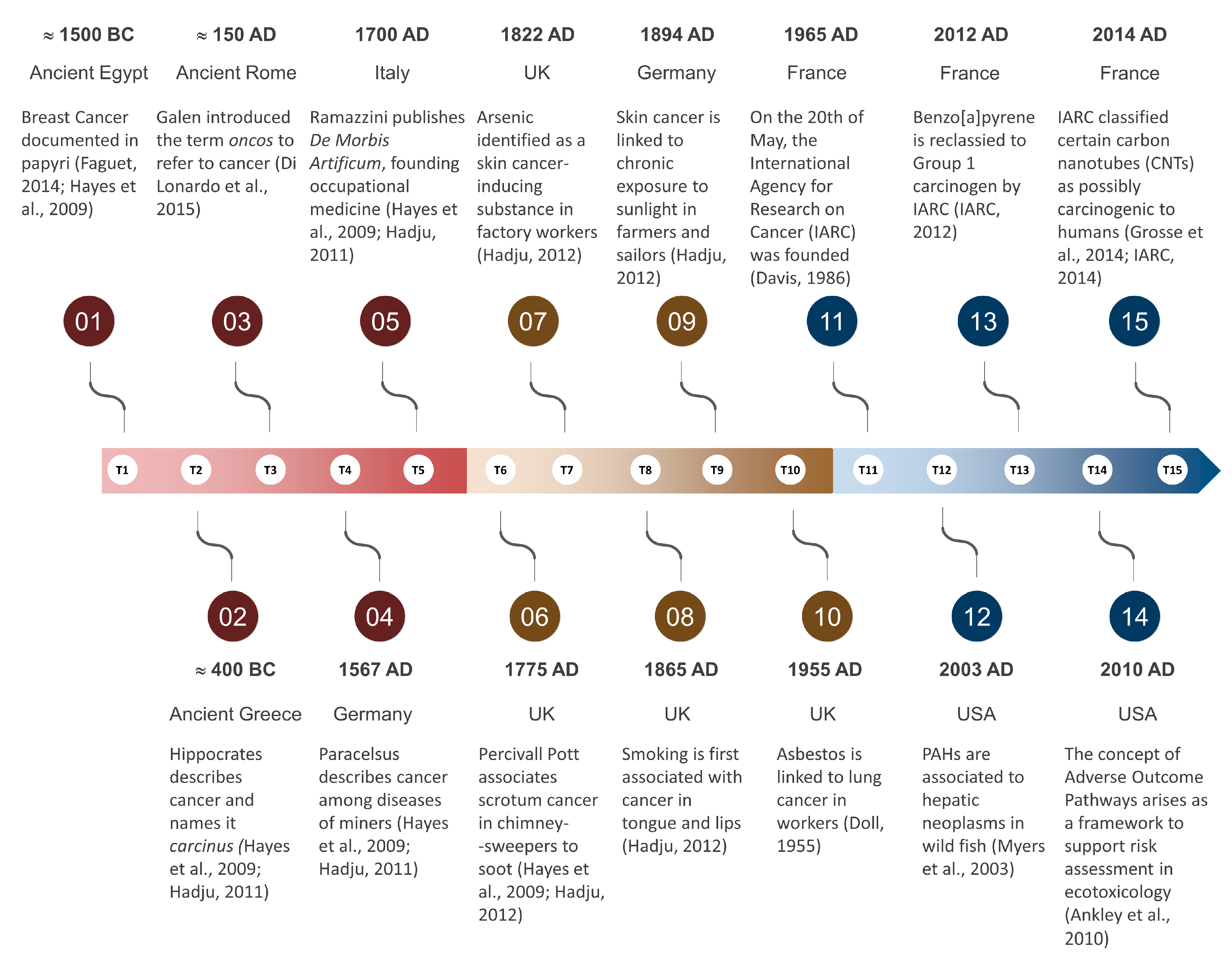 IJERPH Free Full-Text After a Century of Research into Environmental Mutagens and Carcinogens, Where Do We Stand? image