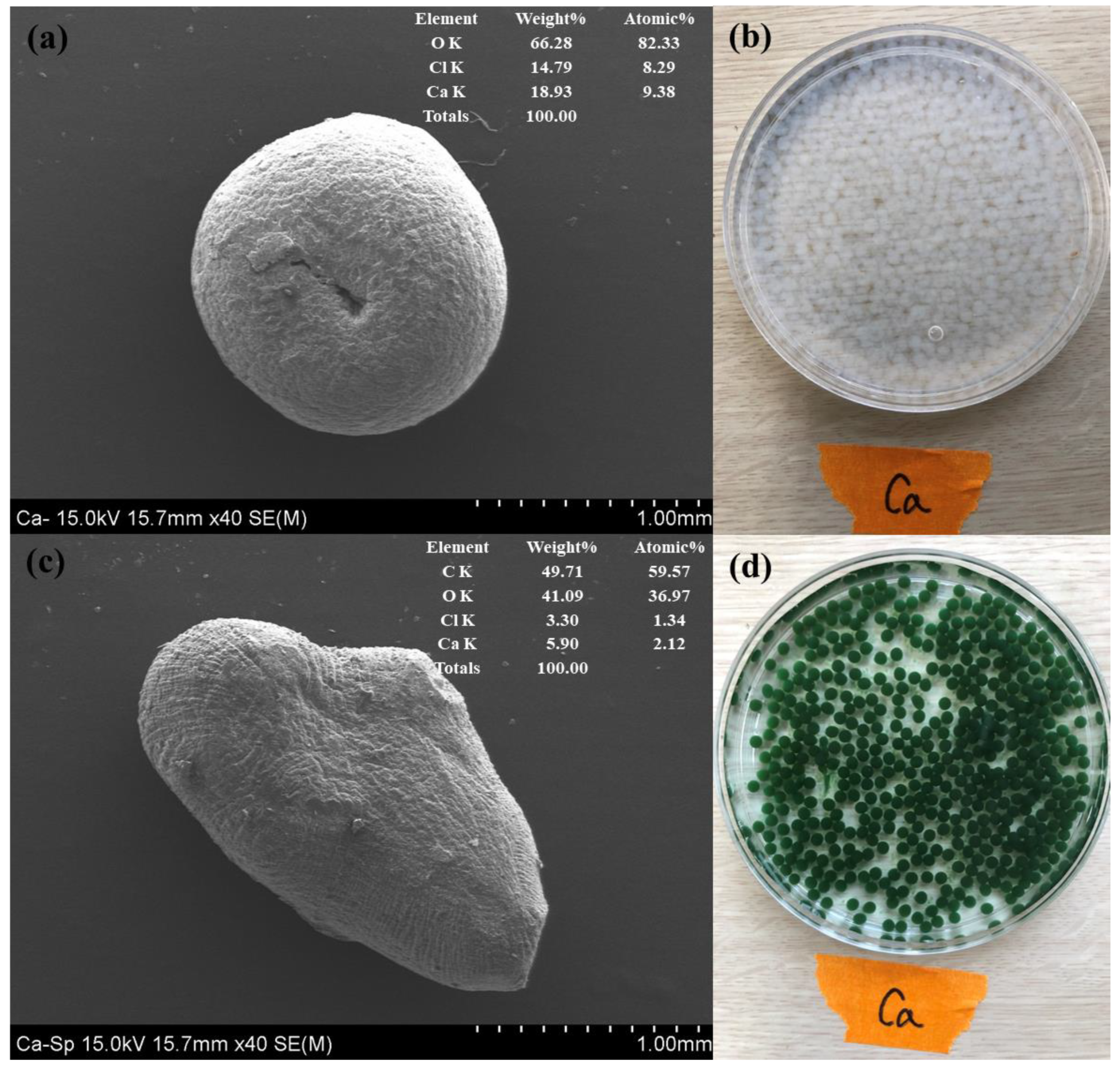 Ijerph 20 01106 g004 Ijerph 20 01106 g004