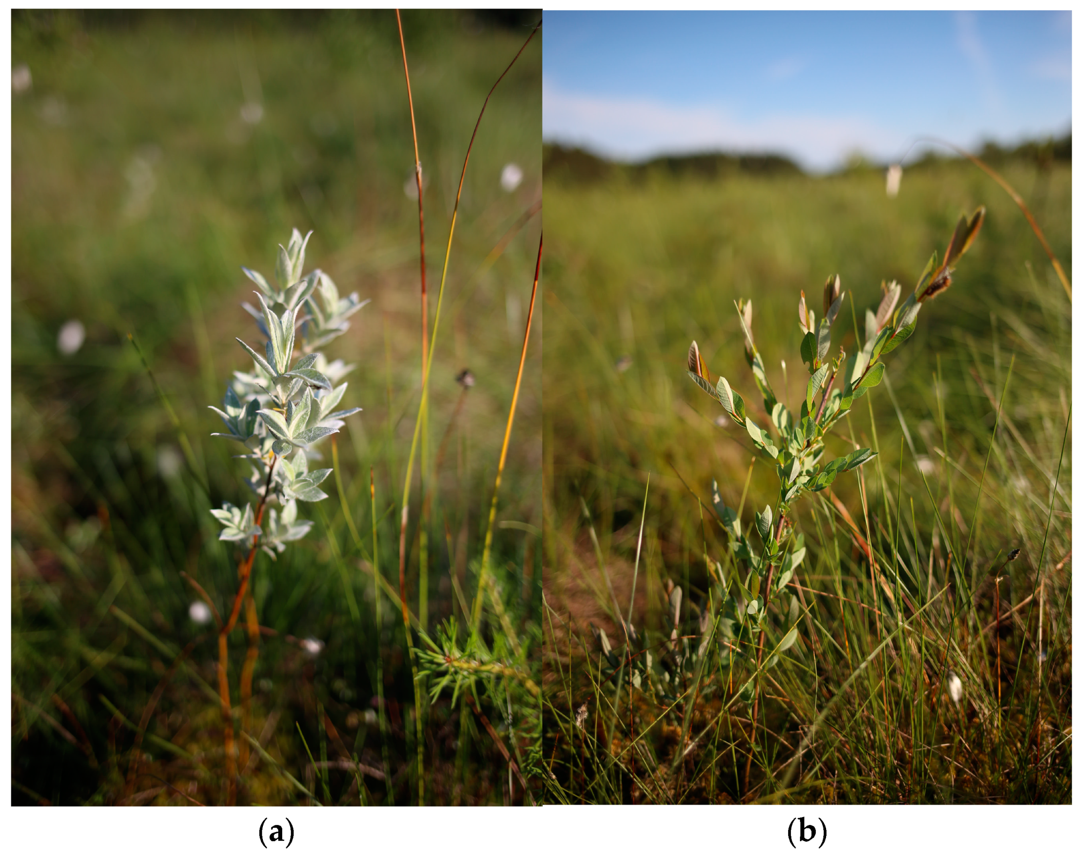 Ijerph 20 01133 g002 Ijerph 20 01133 g002