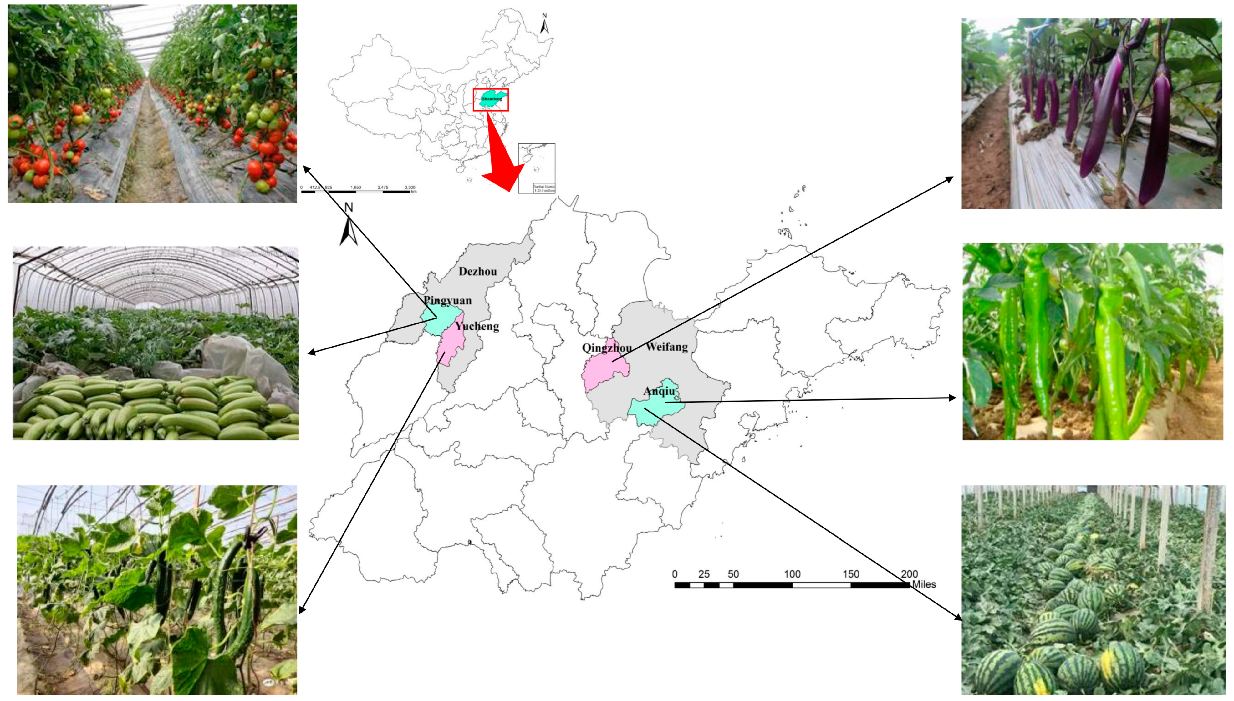 Ijerph 20 01146 g002 Ijerph 20 01146 g002