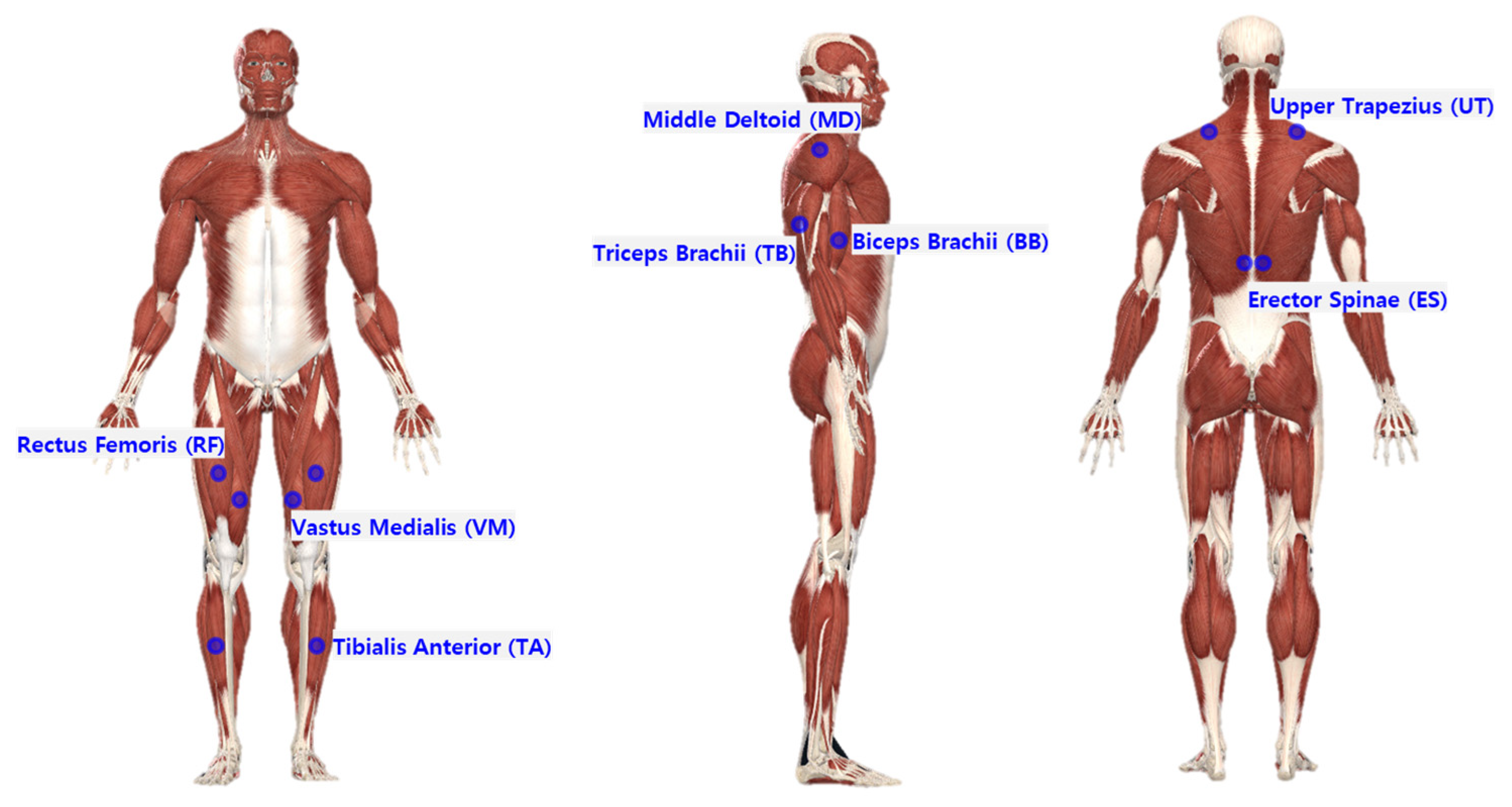 Ijerph 20 01174 g003