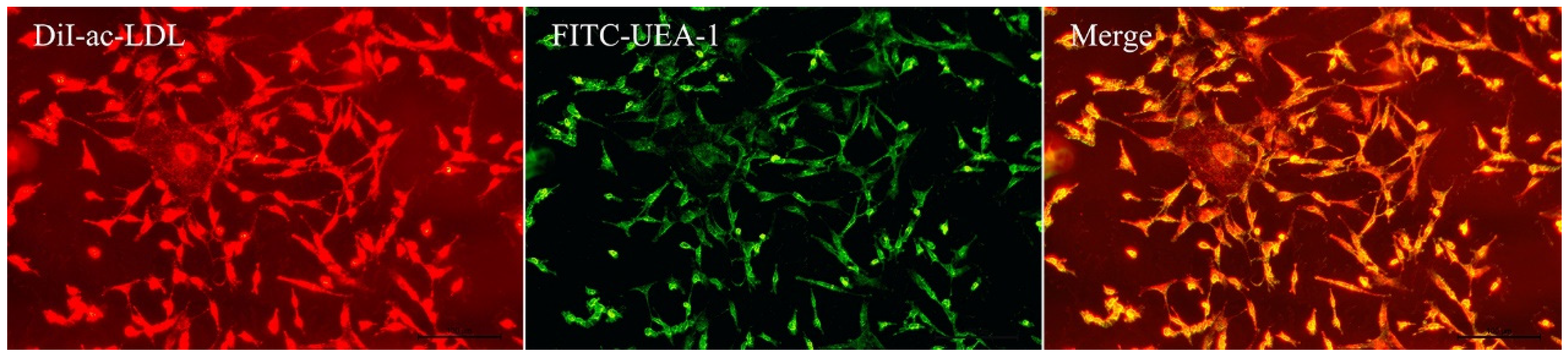 Ijerph 20 01255 g001
