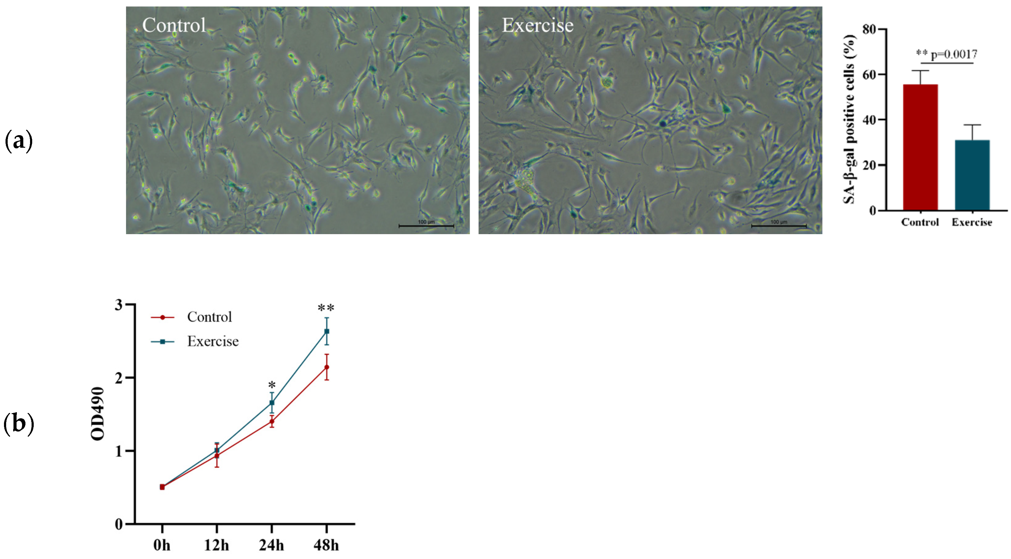 Ijerph 20 01255 g002a