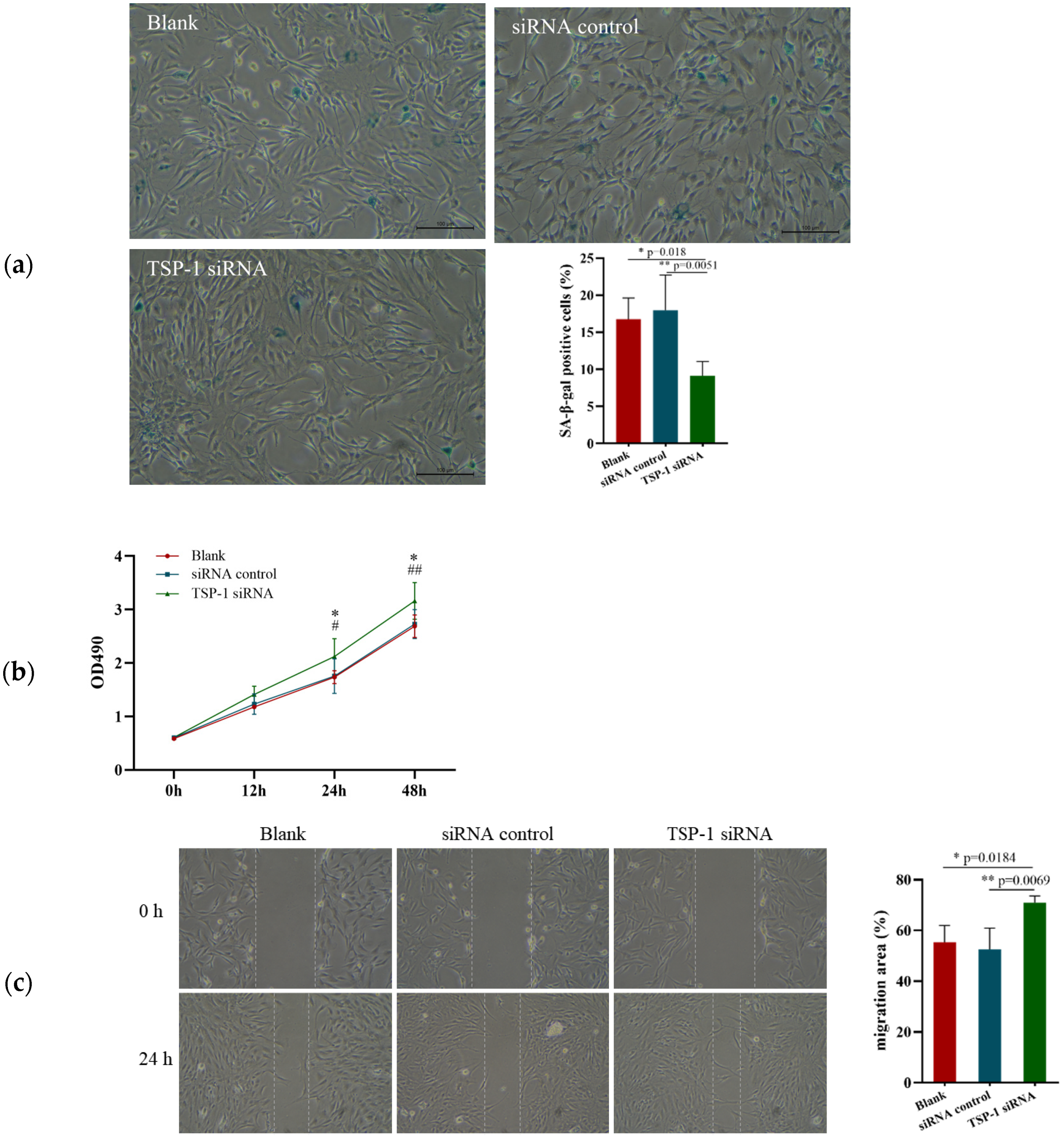 Ijerph 20 01255 g004