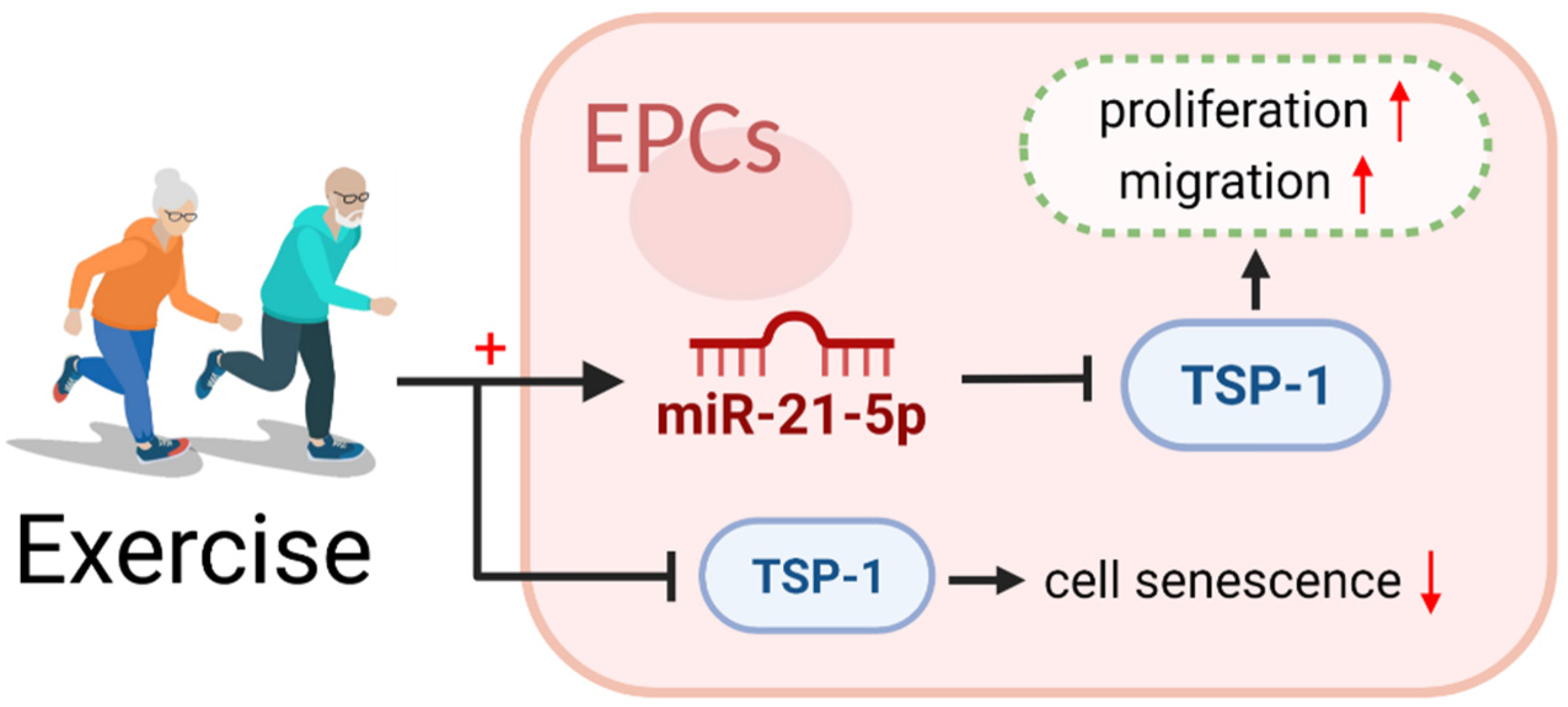 Ijerph 20 01255 g005