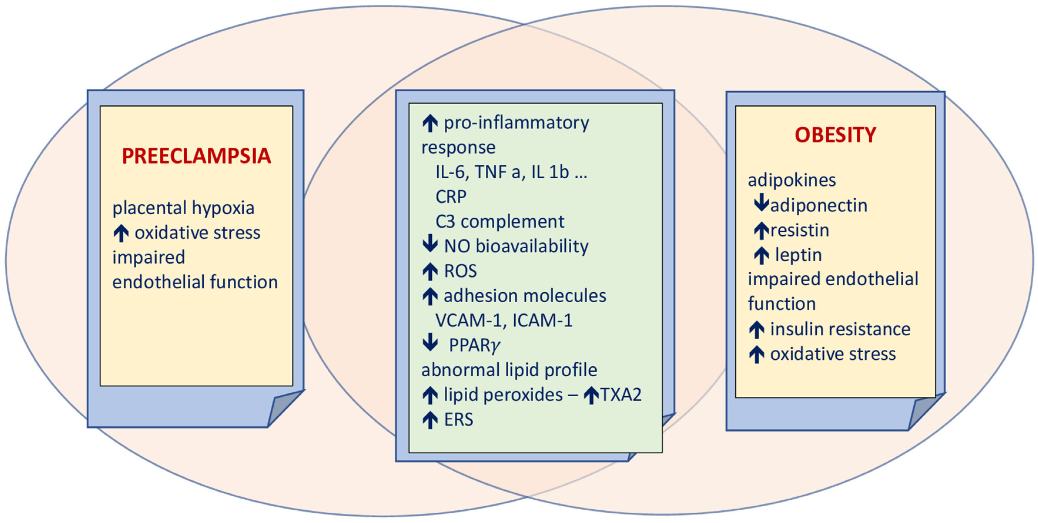 Ijerph 20 01267 g001 Ijerph 20 01267 g001
