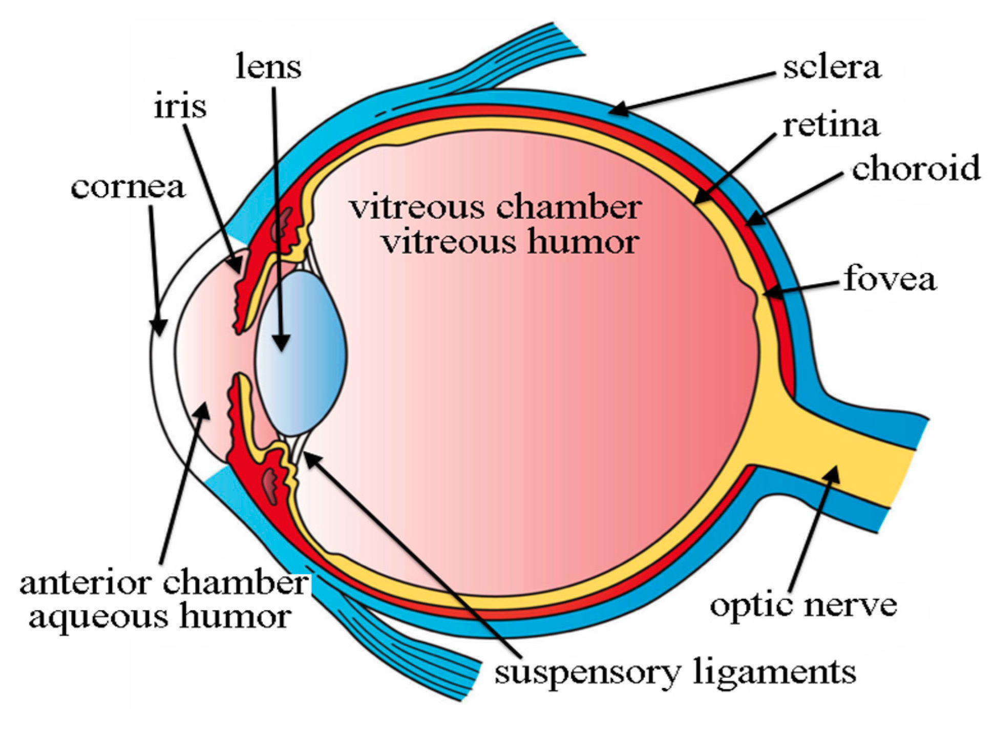 Ijerph 20 01273 g002 Ijerph 20 01273 g002