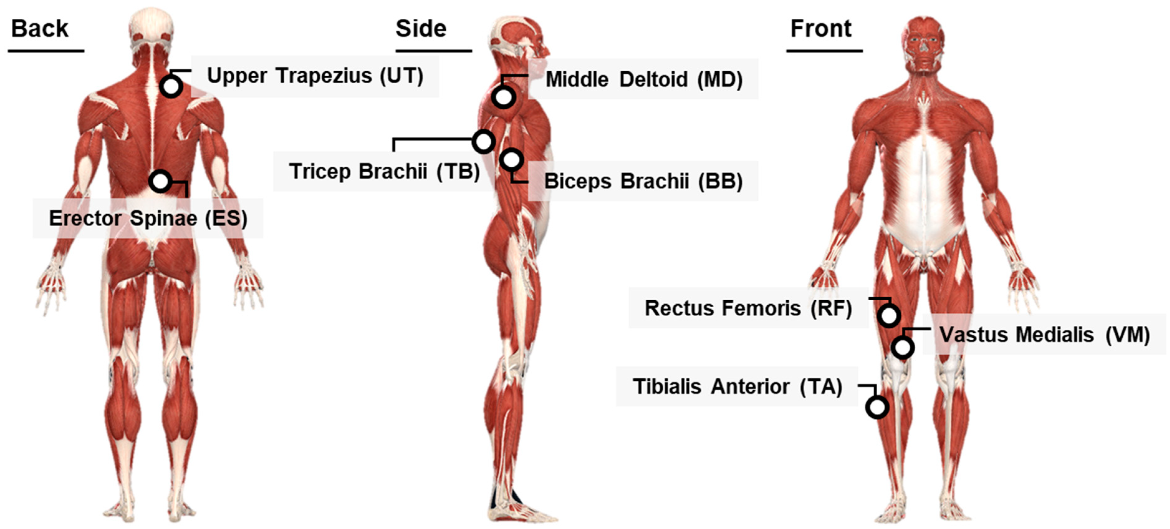 Ijerph 20 01281 g005 Ijerph 20 01281 g005
