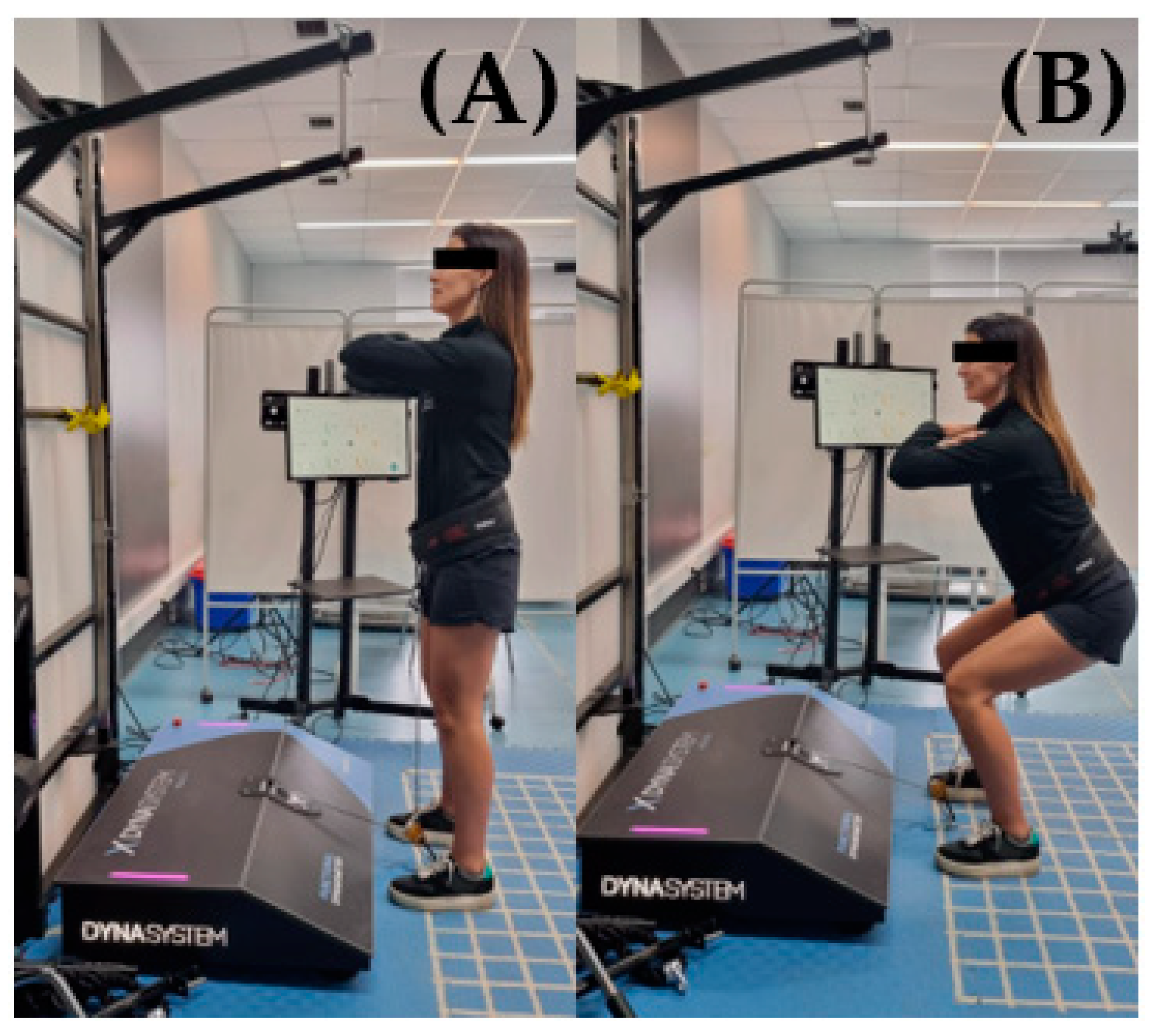 IJERPH Free FullText TestRetest Reliability of the Functional