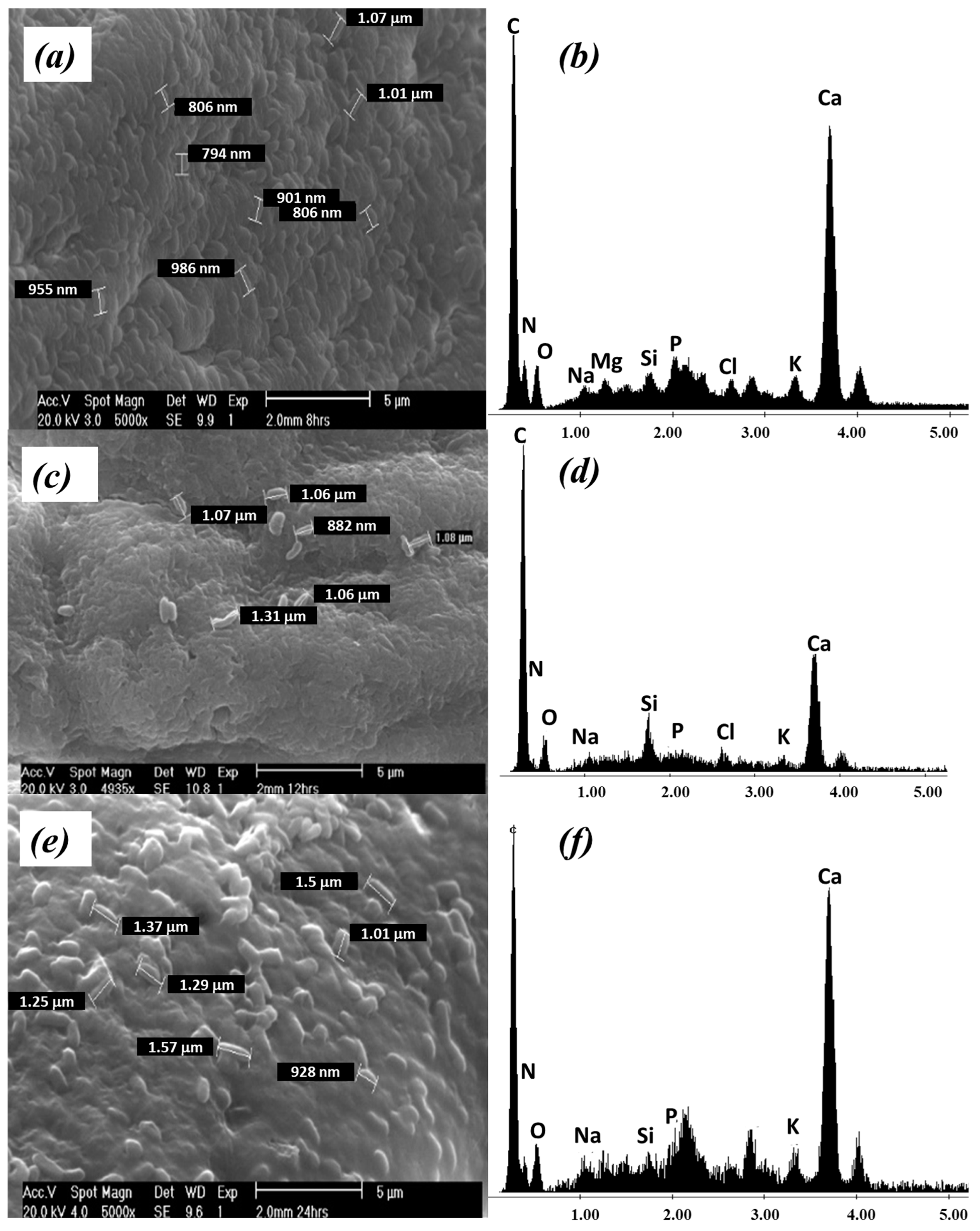 Ijerph 20 01385 g002 Ijerph 20 01385 g002