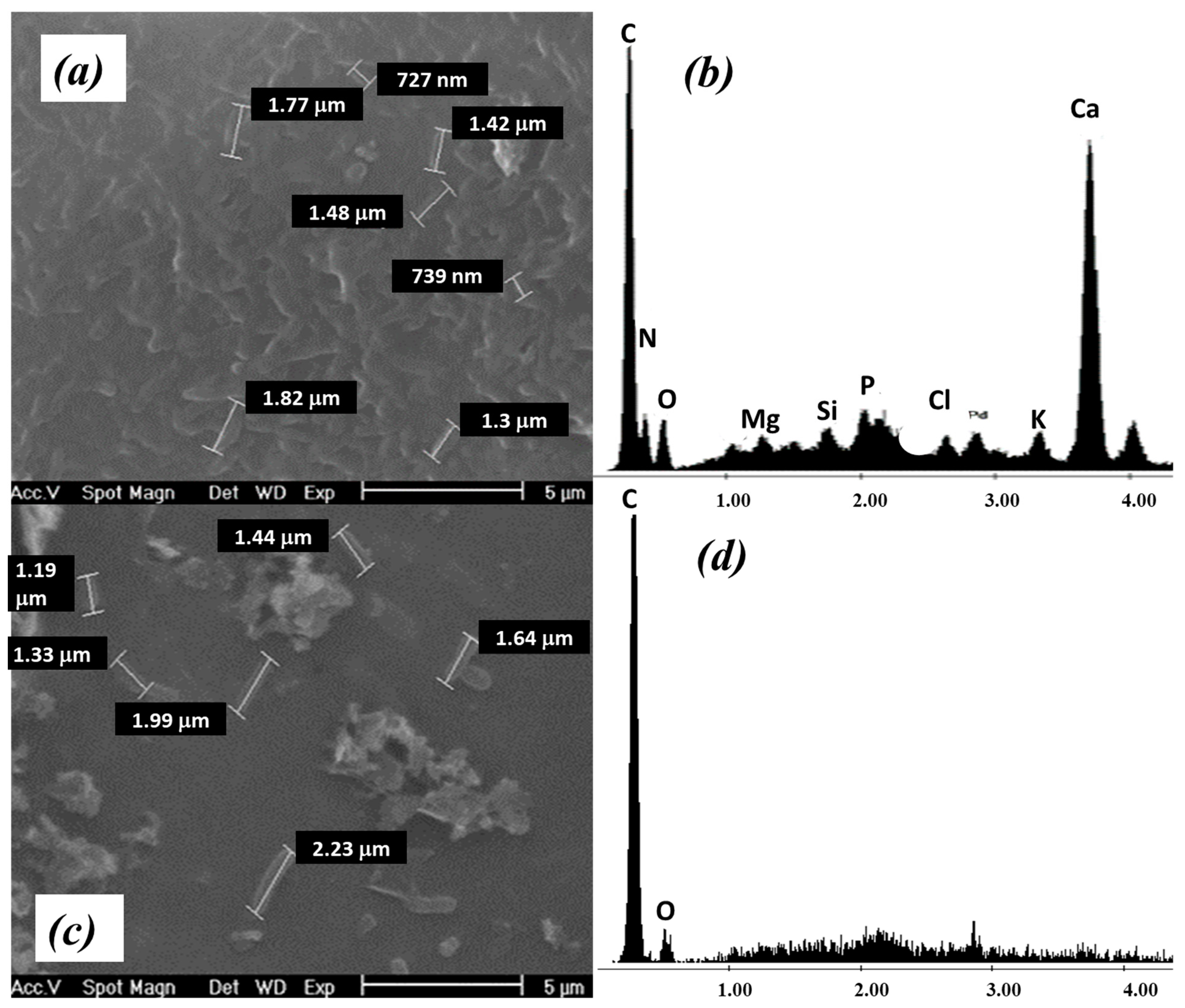 Ijerph 20 01385 g003 Ijerph 20 01385 g003