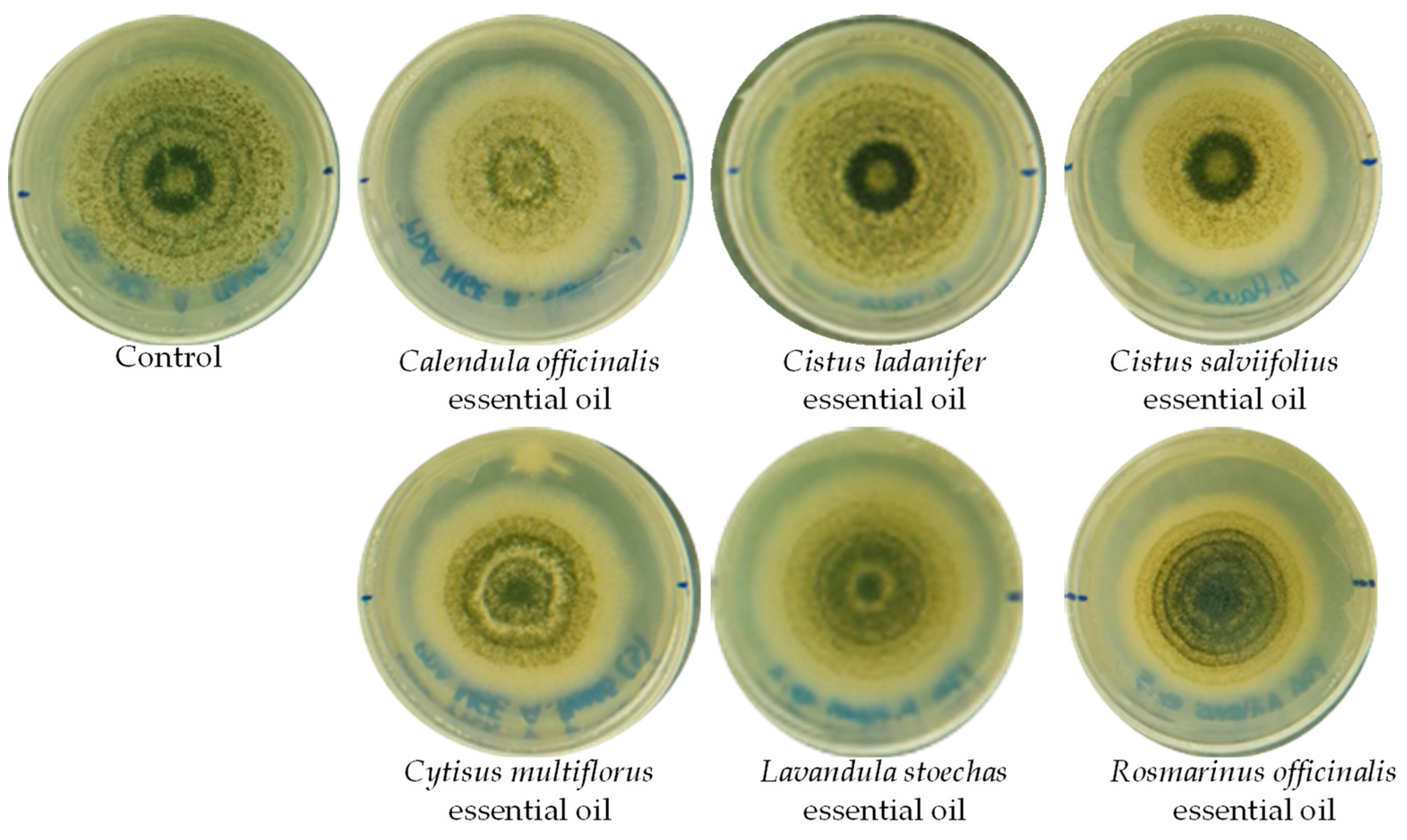 Ijerph 20 01657 g001 Ijerph 20 01657 g001