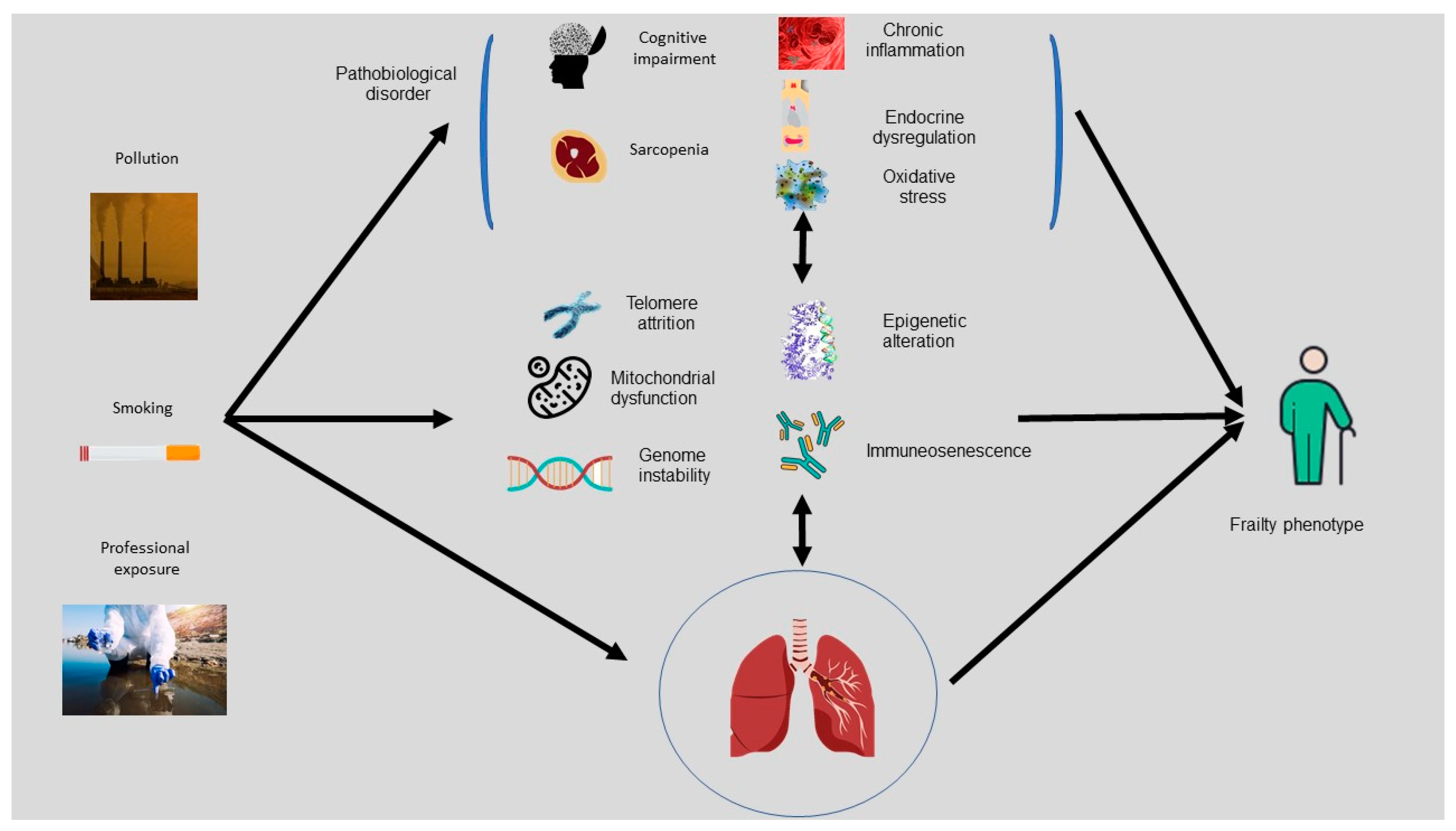 Ijerph 20 01678 g002 Ijerph 20 01678 g002