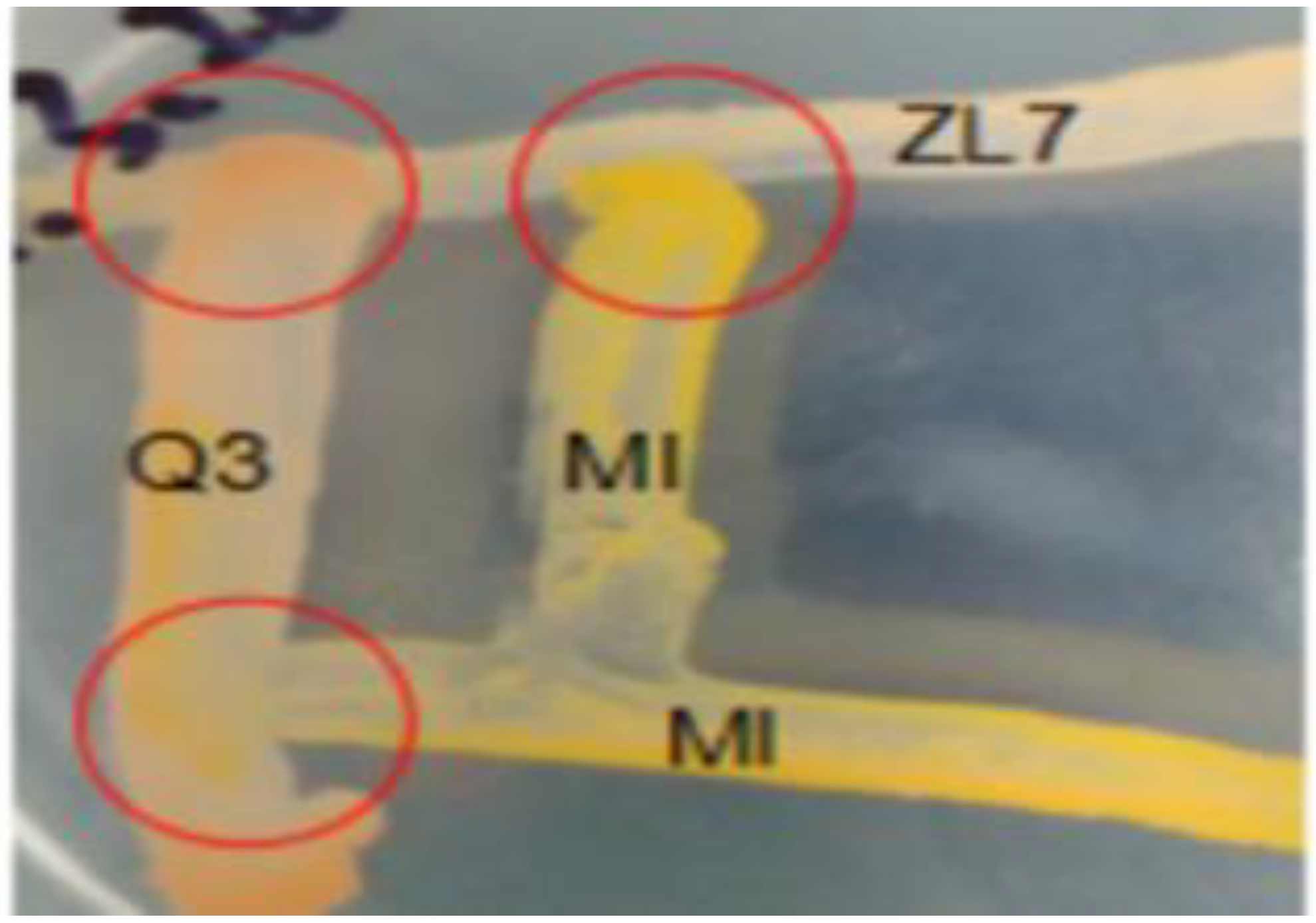 Ijerph 20 01766 g001