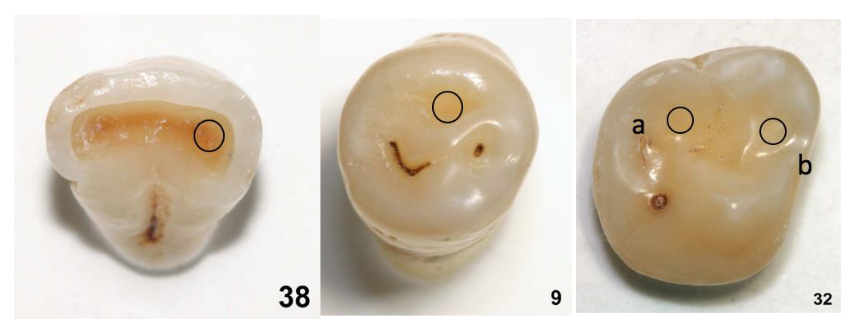 IJERPH | Free Full-Text | Understanding the Influence of Patient
