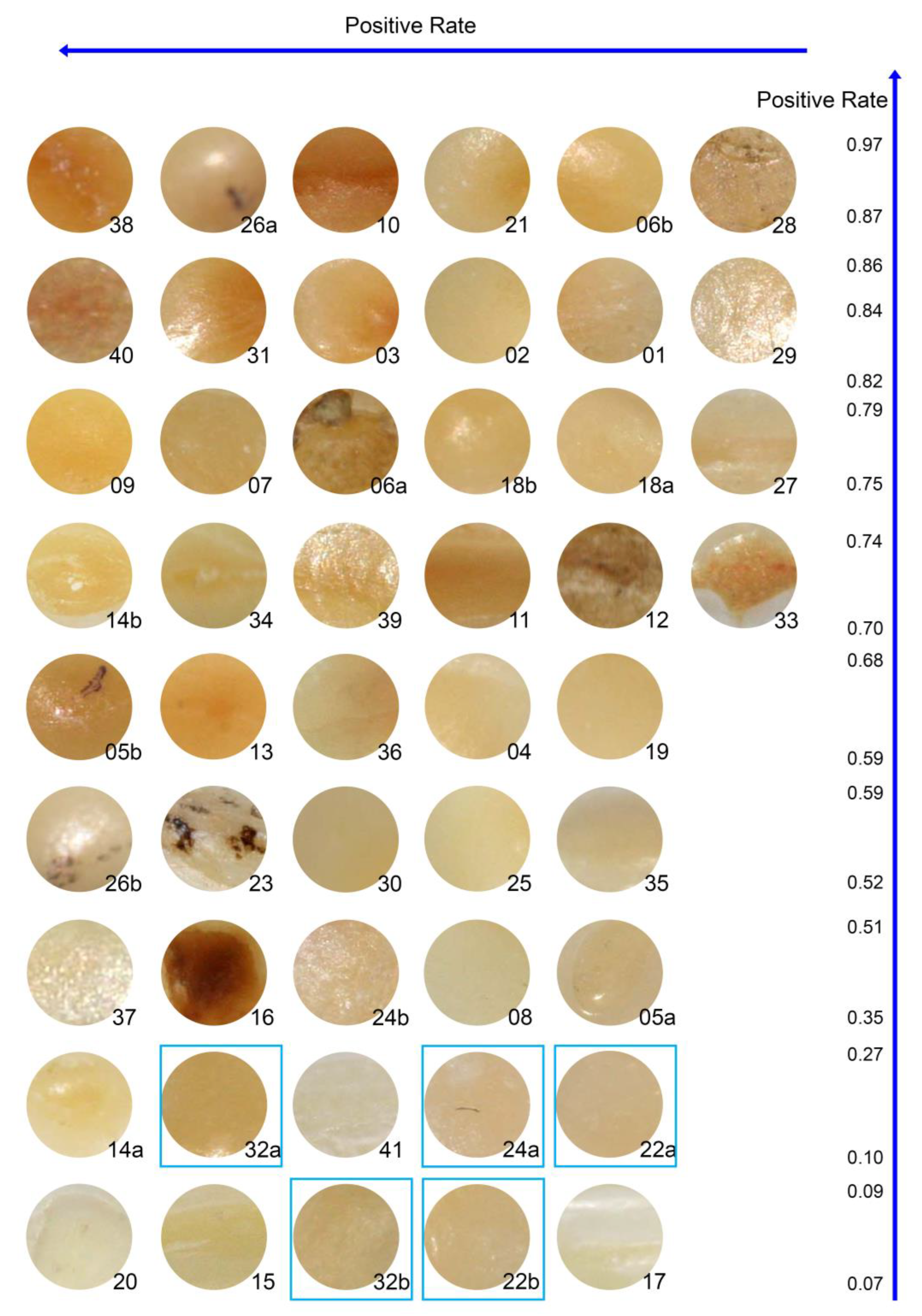 Ijerph 20 01781 g005