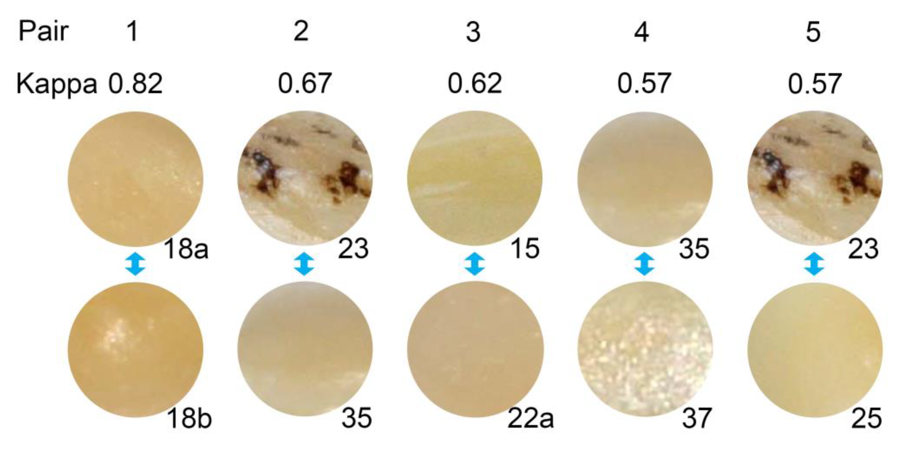 Ijerph 20 01781 g006