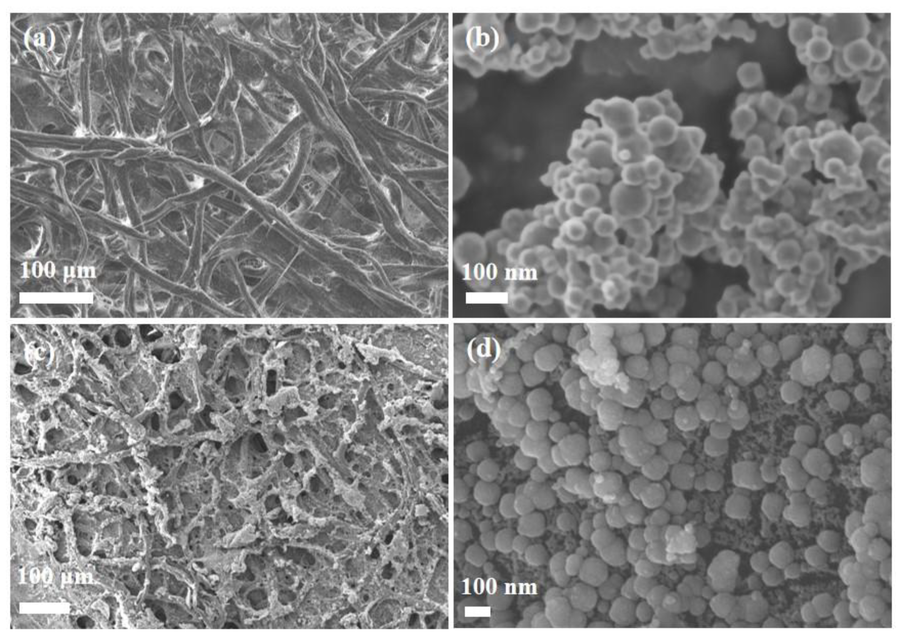 Ijerph 20 01867 g003