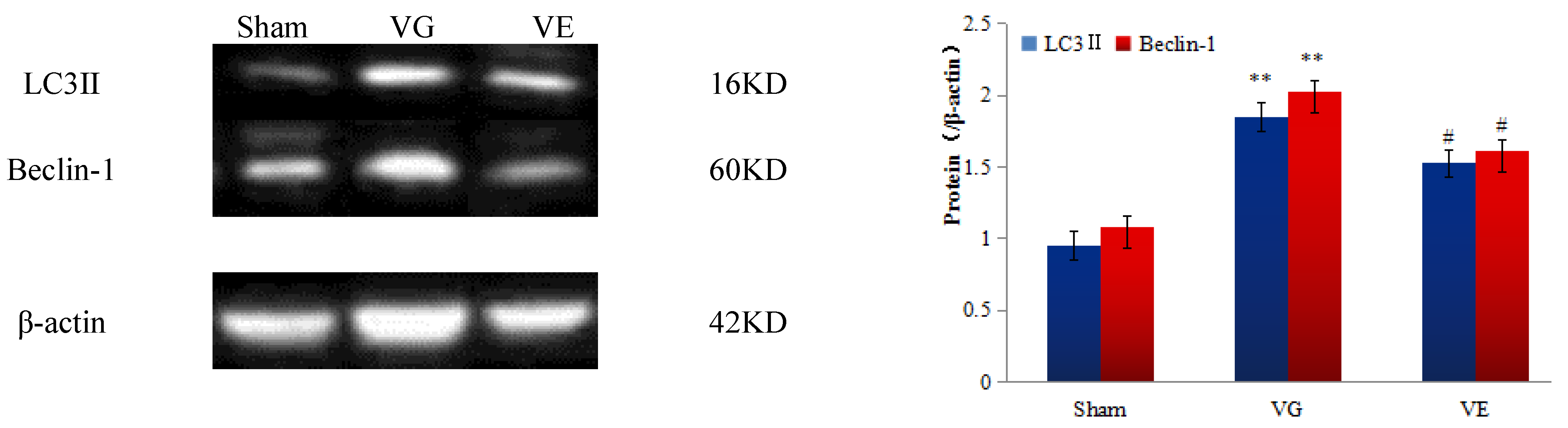 Ijerph 20 01893 g002