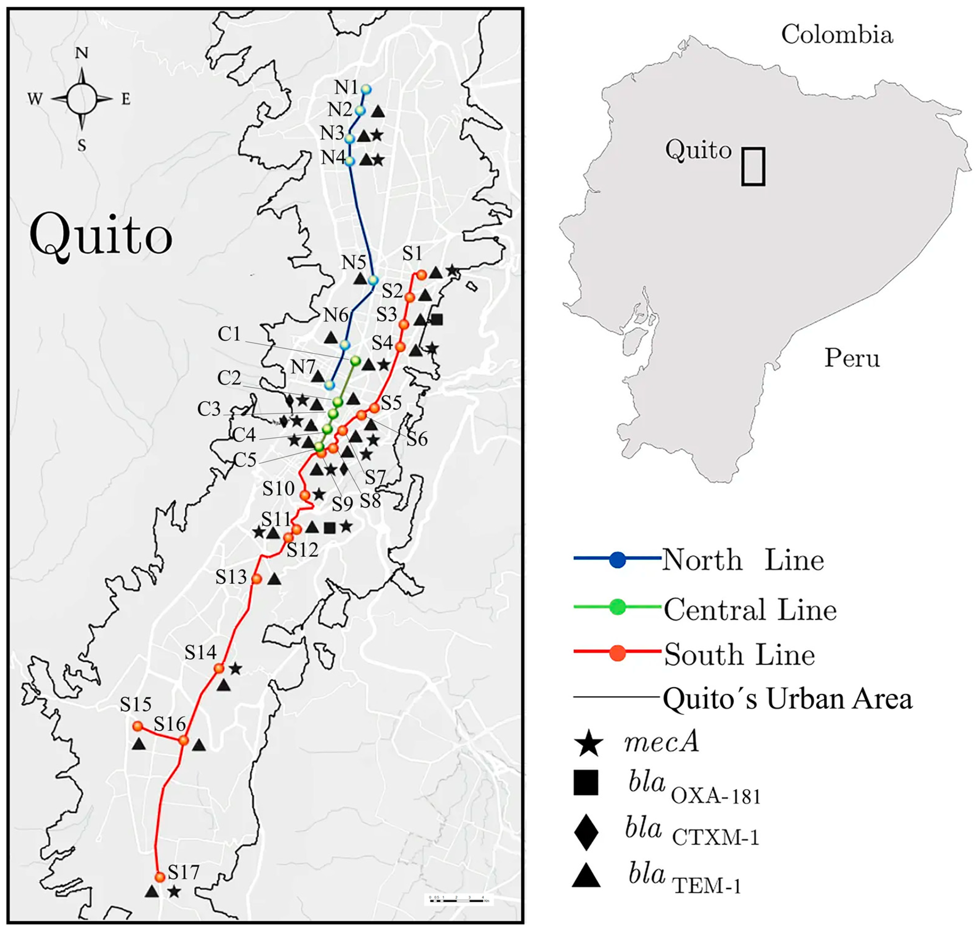 Ijerph 20 01900 g001