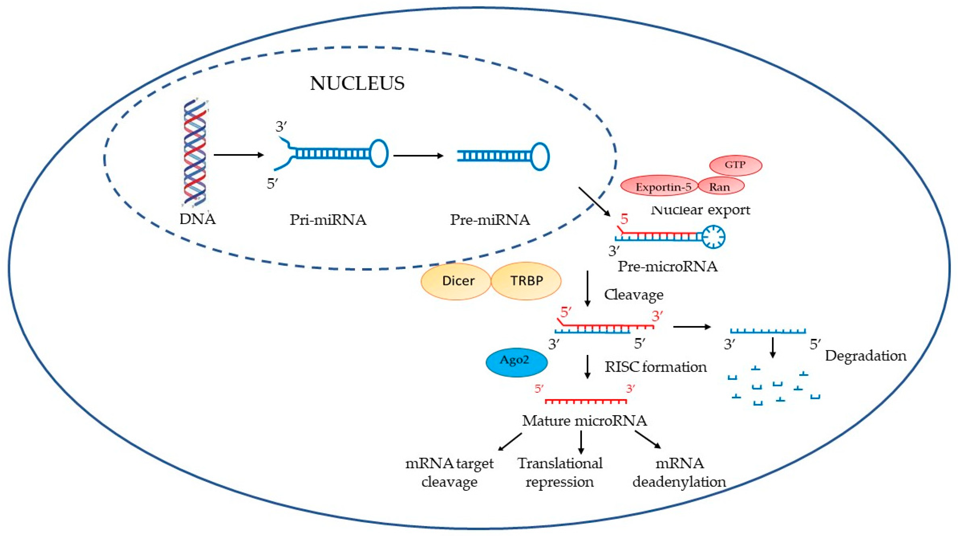 Ijerph 20 01920 g001 Ijerph 20 01920 g001