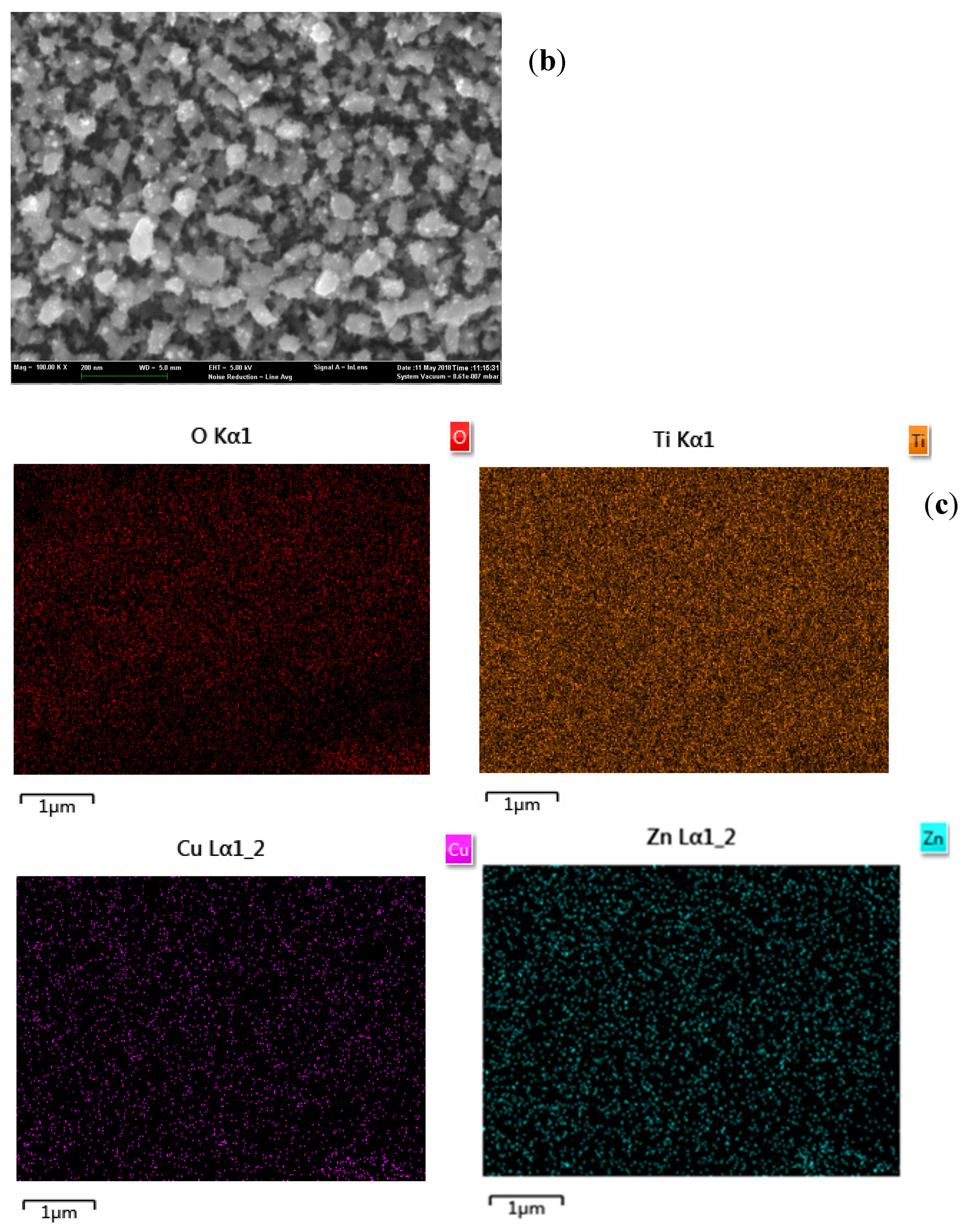 Ijerph 20 01923 g003b 550