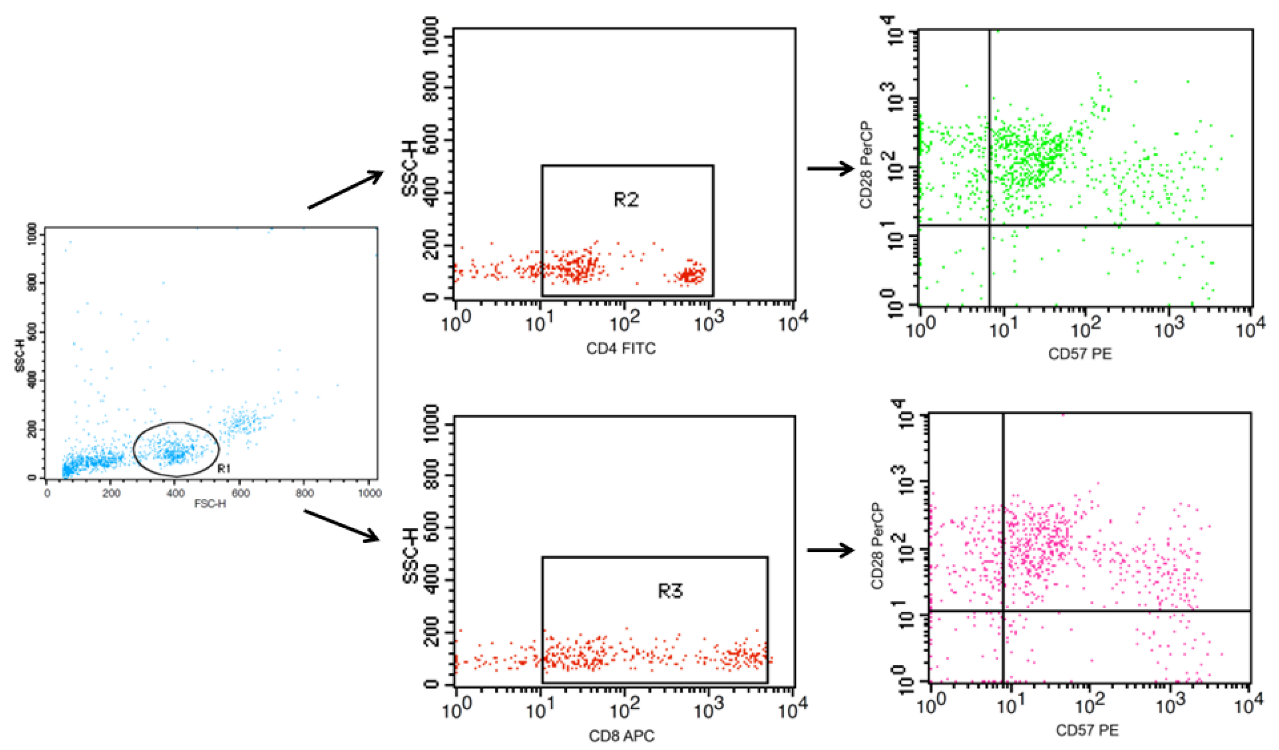 Ijerph 20 01939 g003