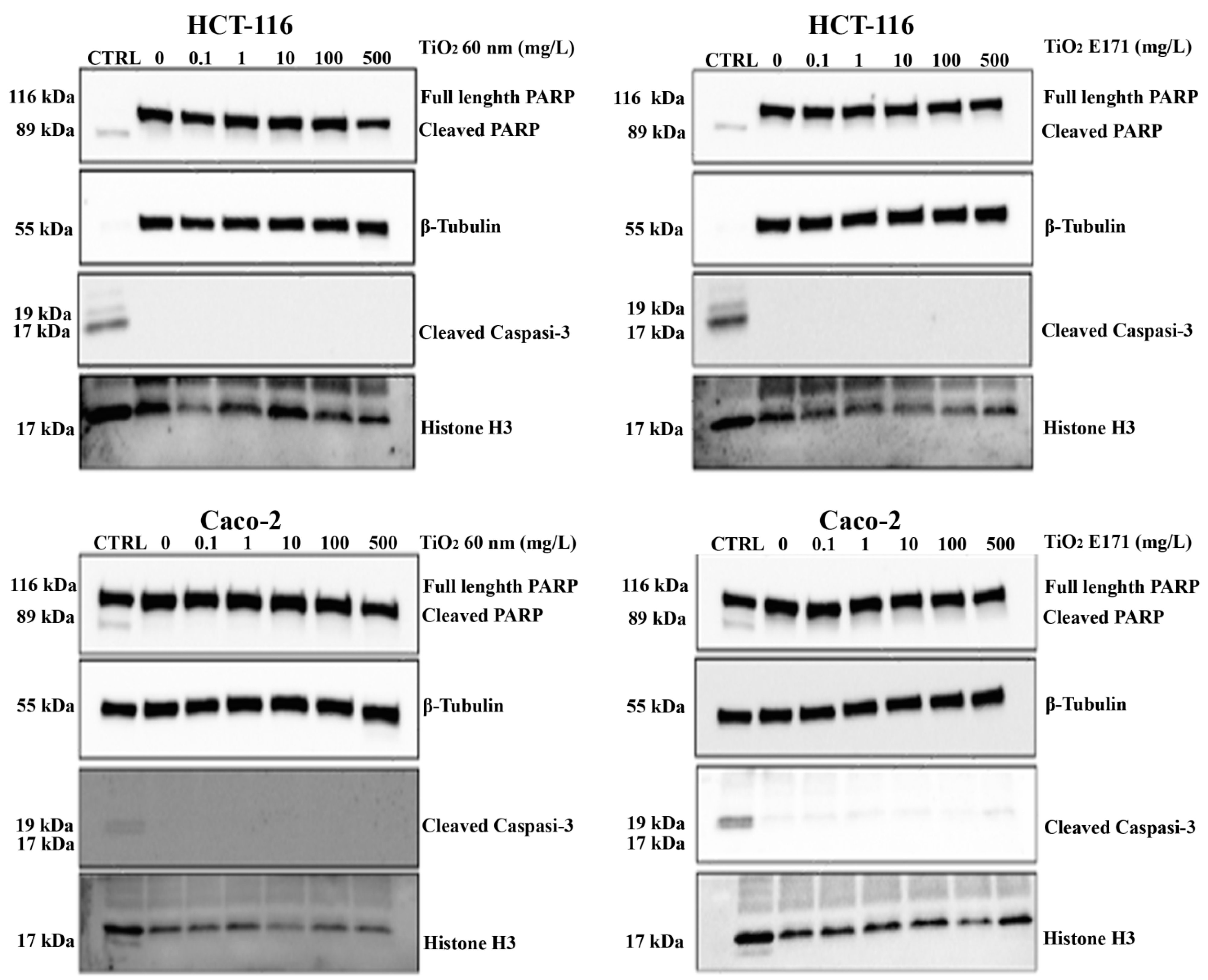Ijerph 20 02002 g004