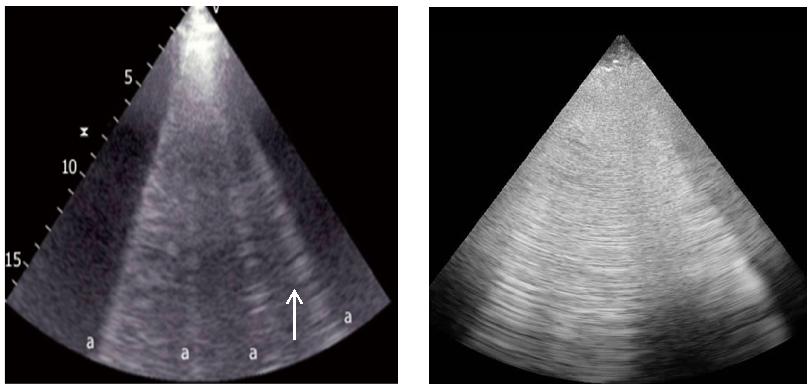 Ijerph 20 02088 g004