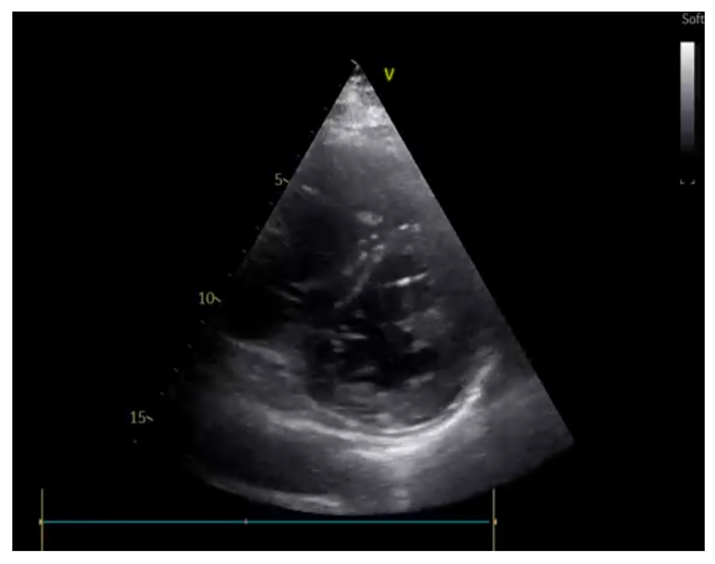 Ijerph 20 02088 g006