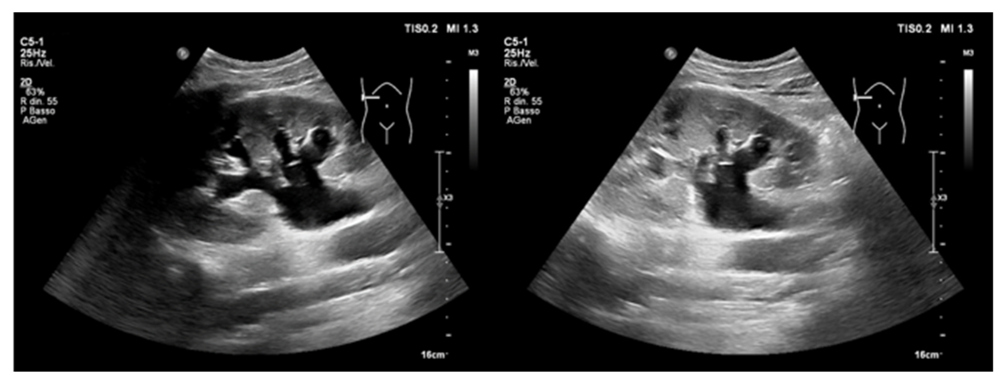 Ijerph 20 02088 g011