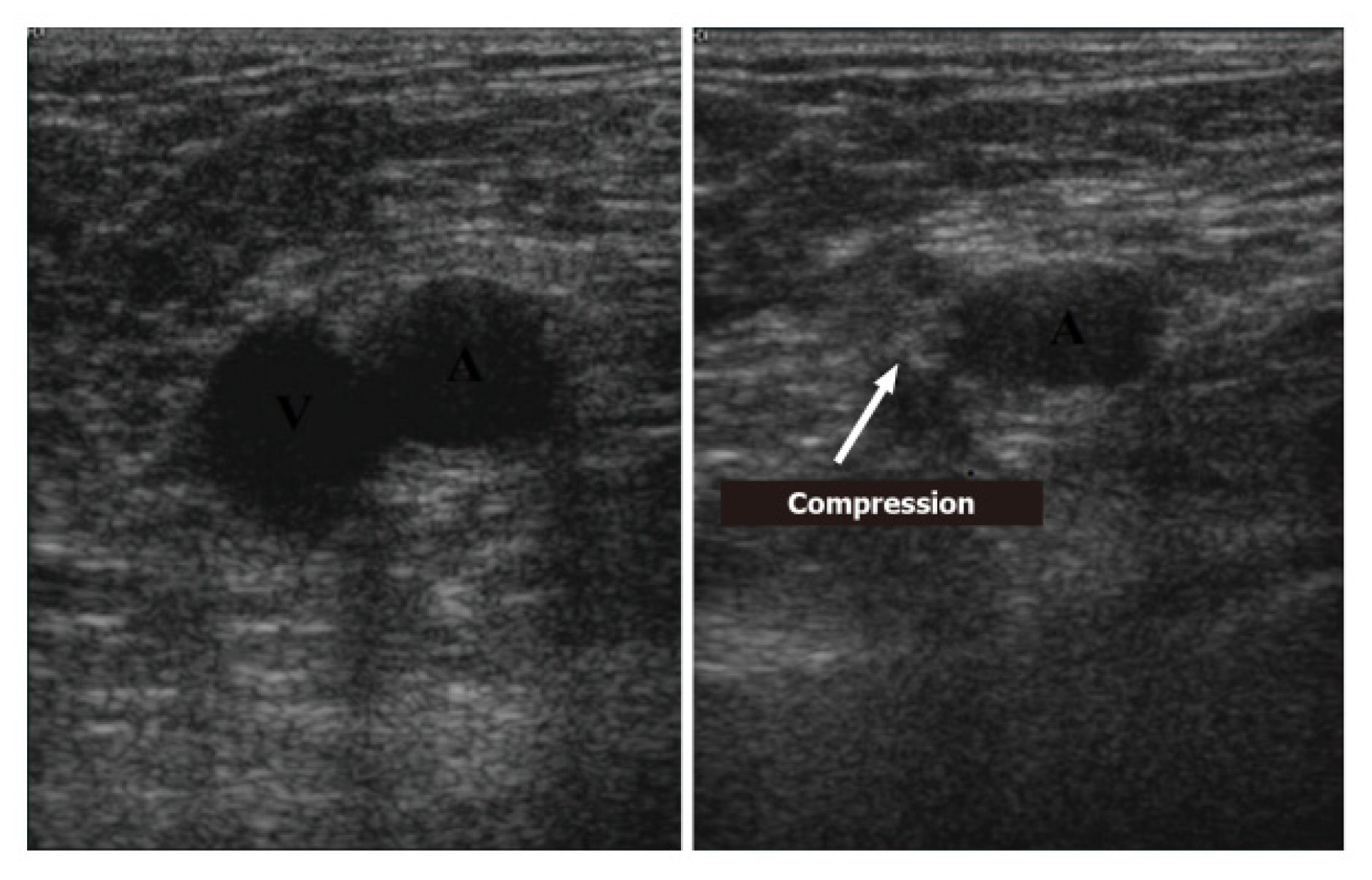 Ijerph 20 02088 g013