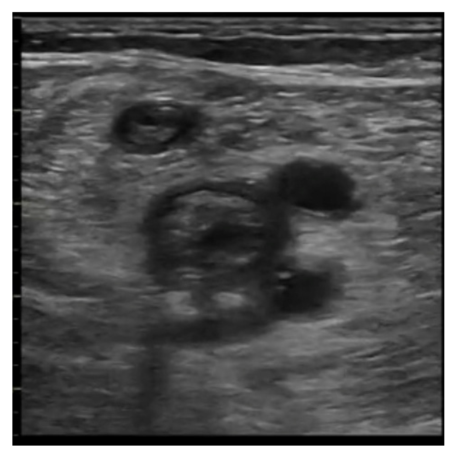 Ijerph 20 02088 g014