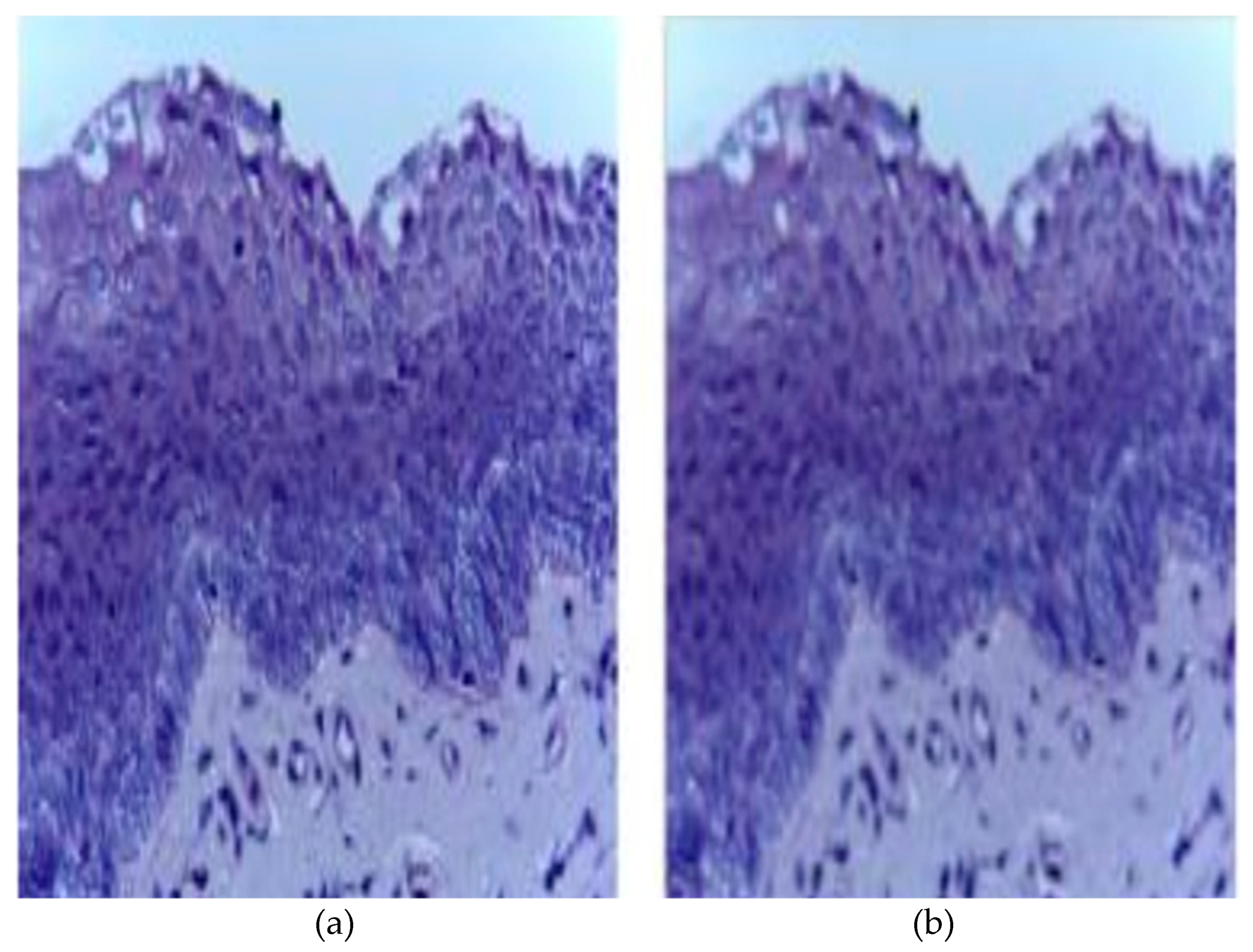 Ijerph 20 02131 g002