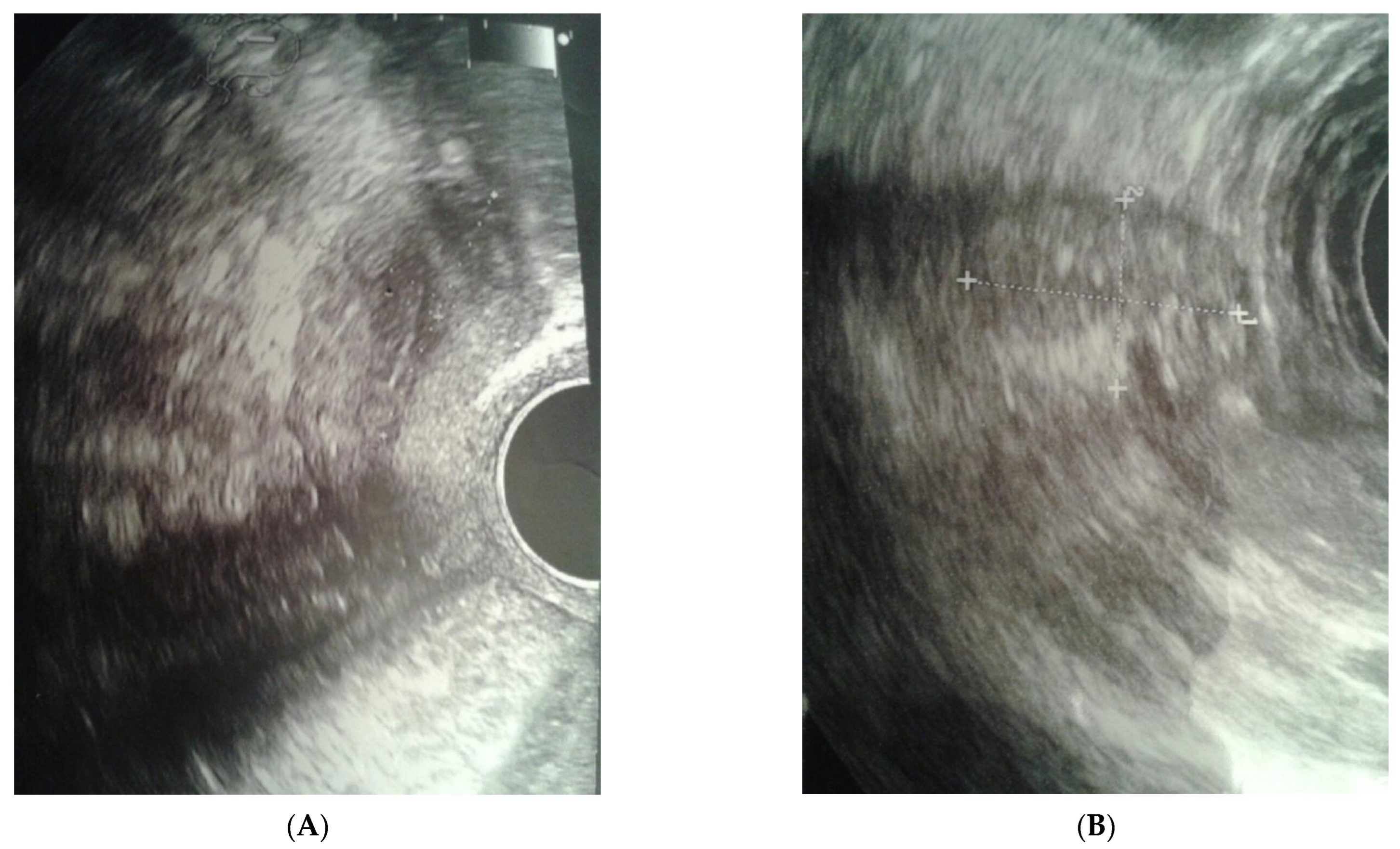 Ijerph 20 02139 g001