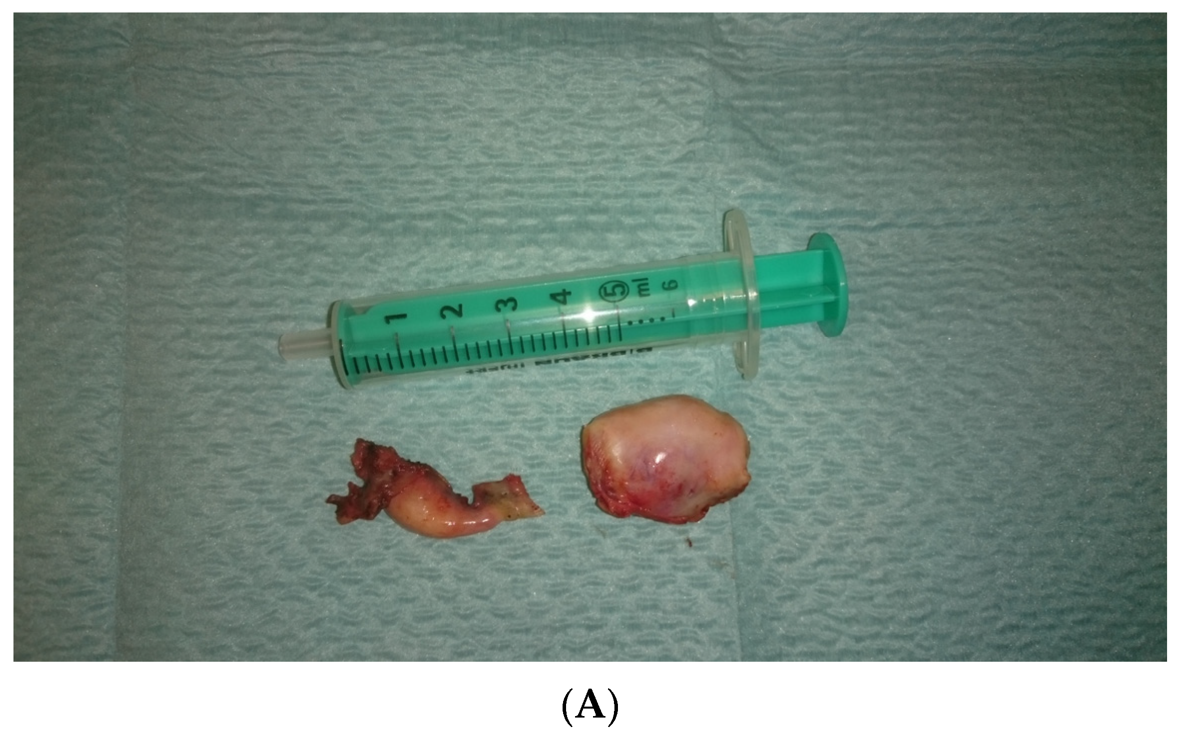 Ijerph 20 02139 g003a