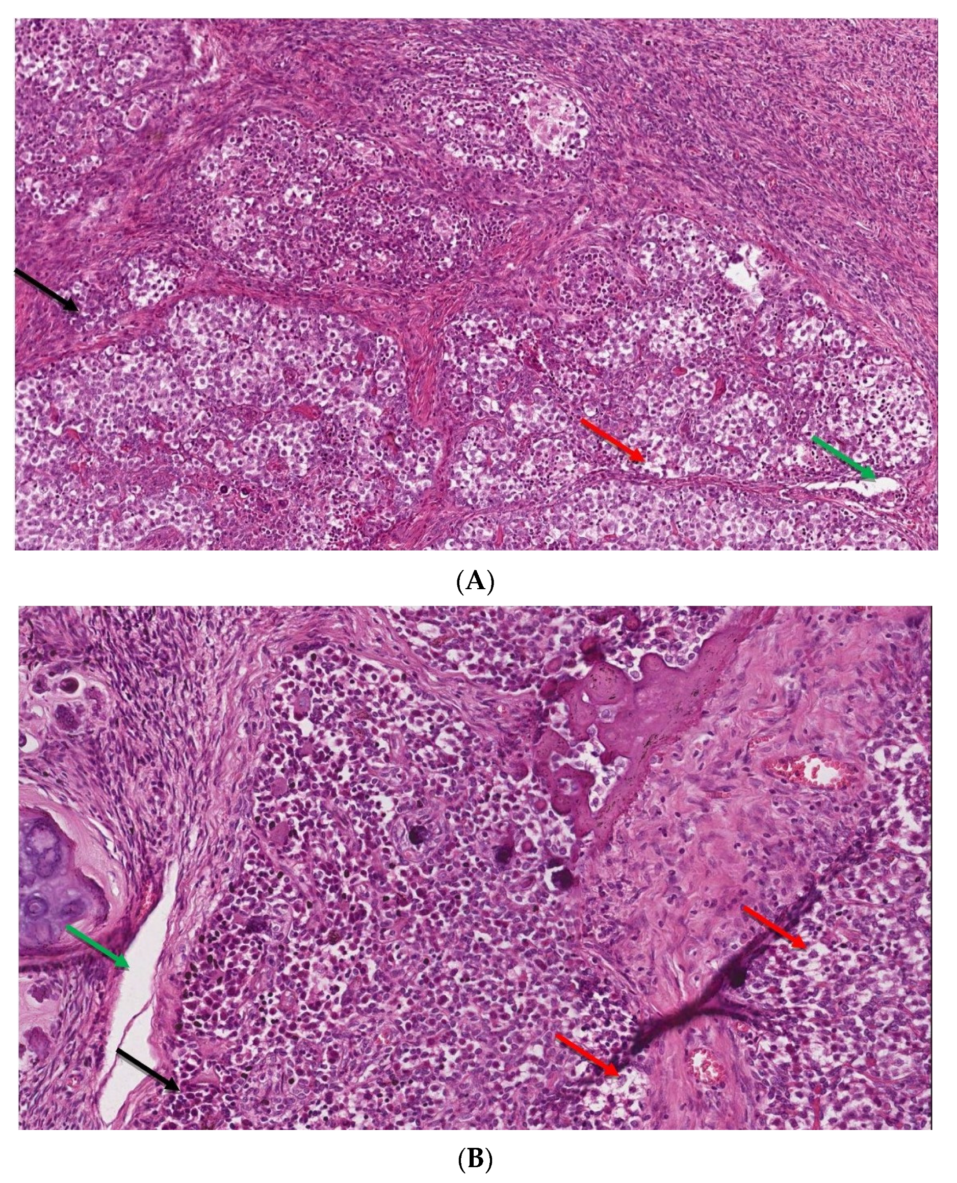 Ijerph 20 02139 g004
